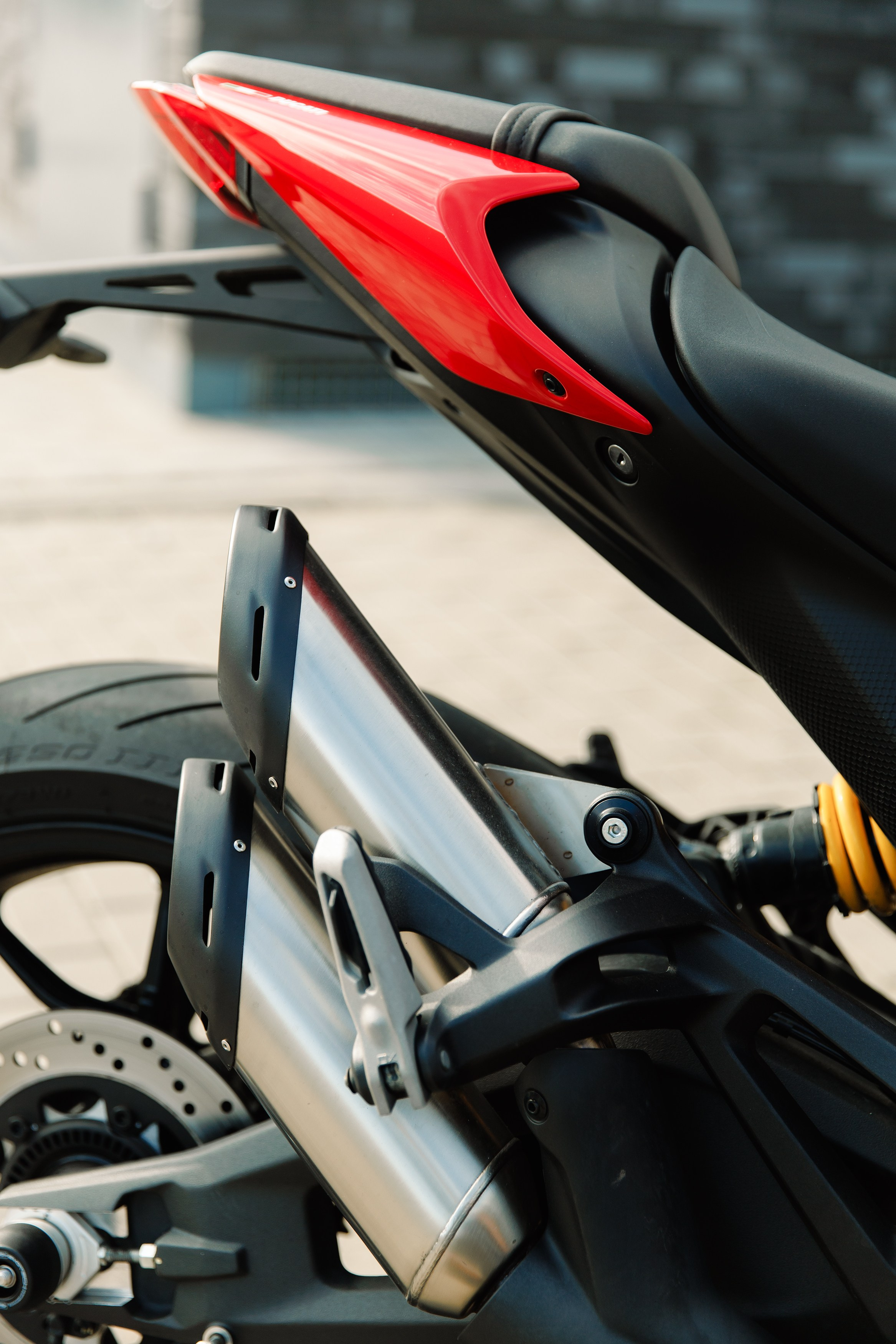 Alex. Kaja | fotograf psów we Wrocławiu