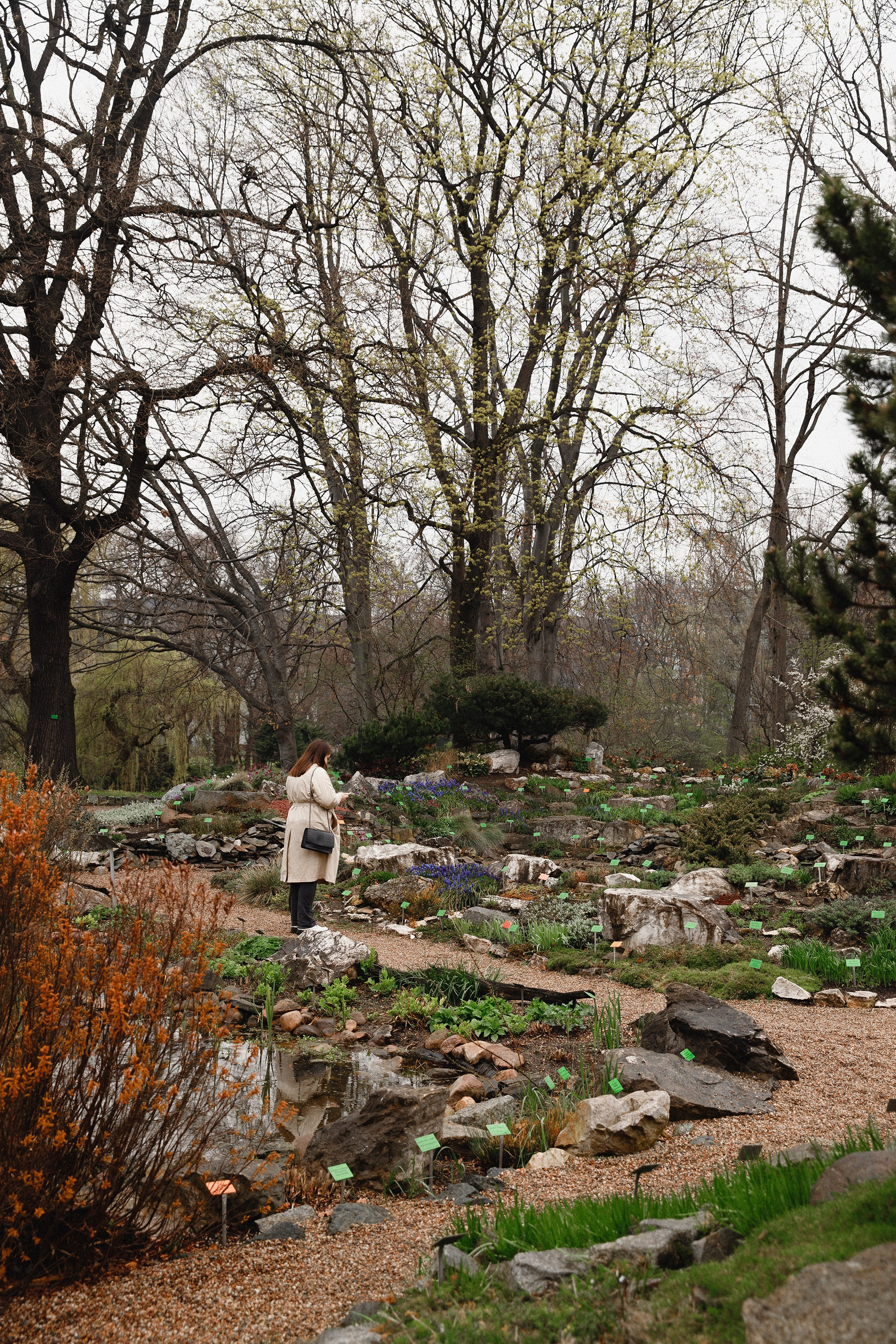 Botanical garden in Wroclaw. Kaja | fotograf we Wrocławiu | ludzie i psy