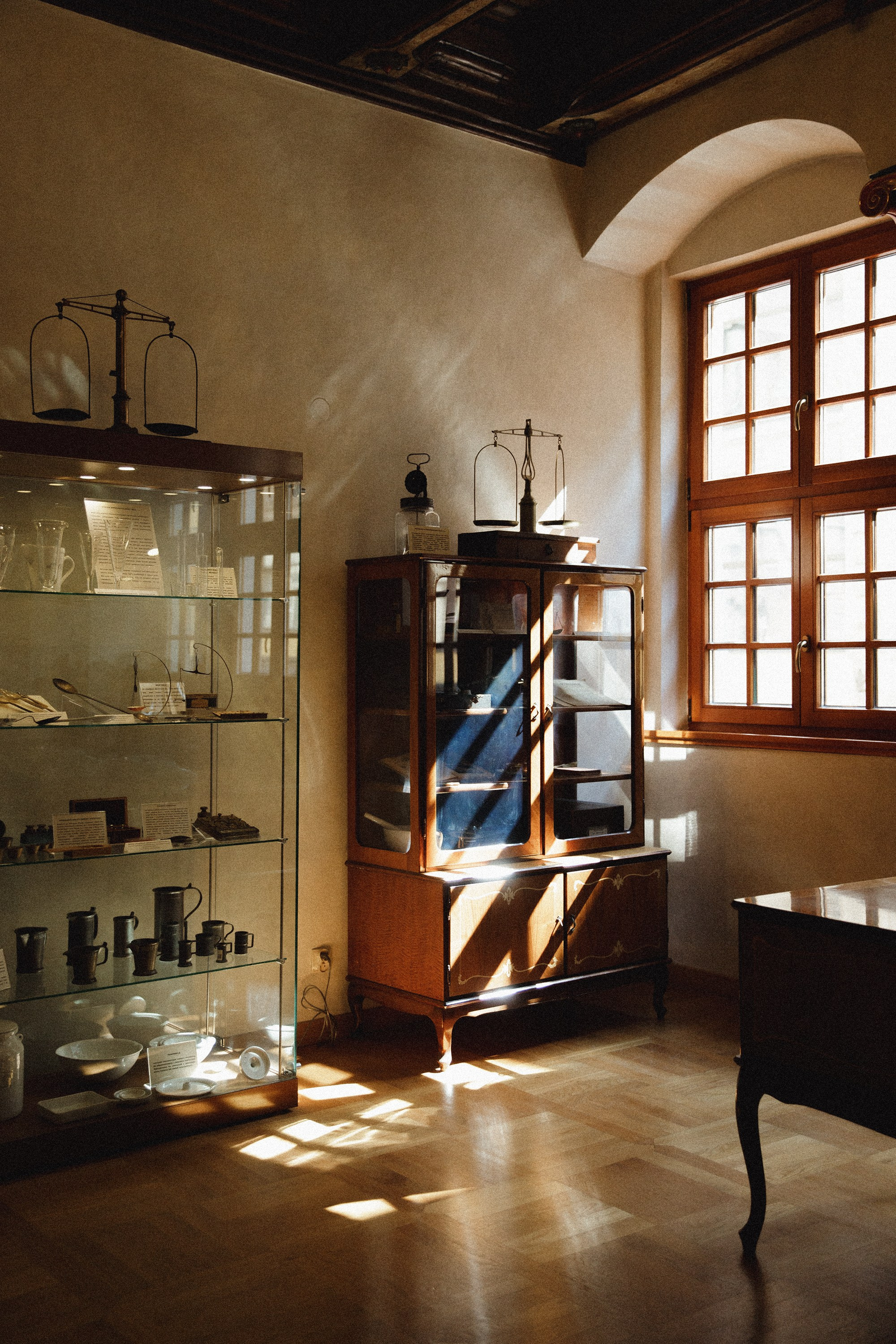 Museum of farmacy in Wroclaw. Kaja | fotograf we Wrocławiu | ludzie i psy