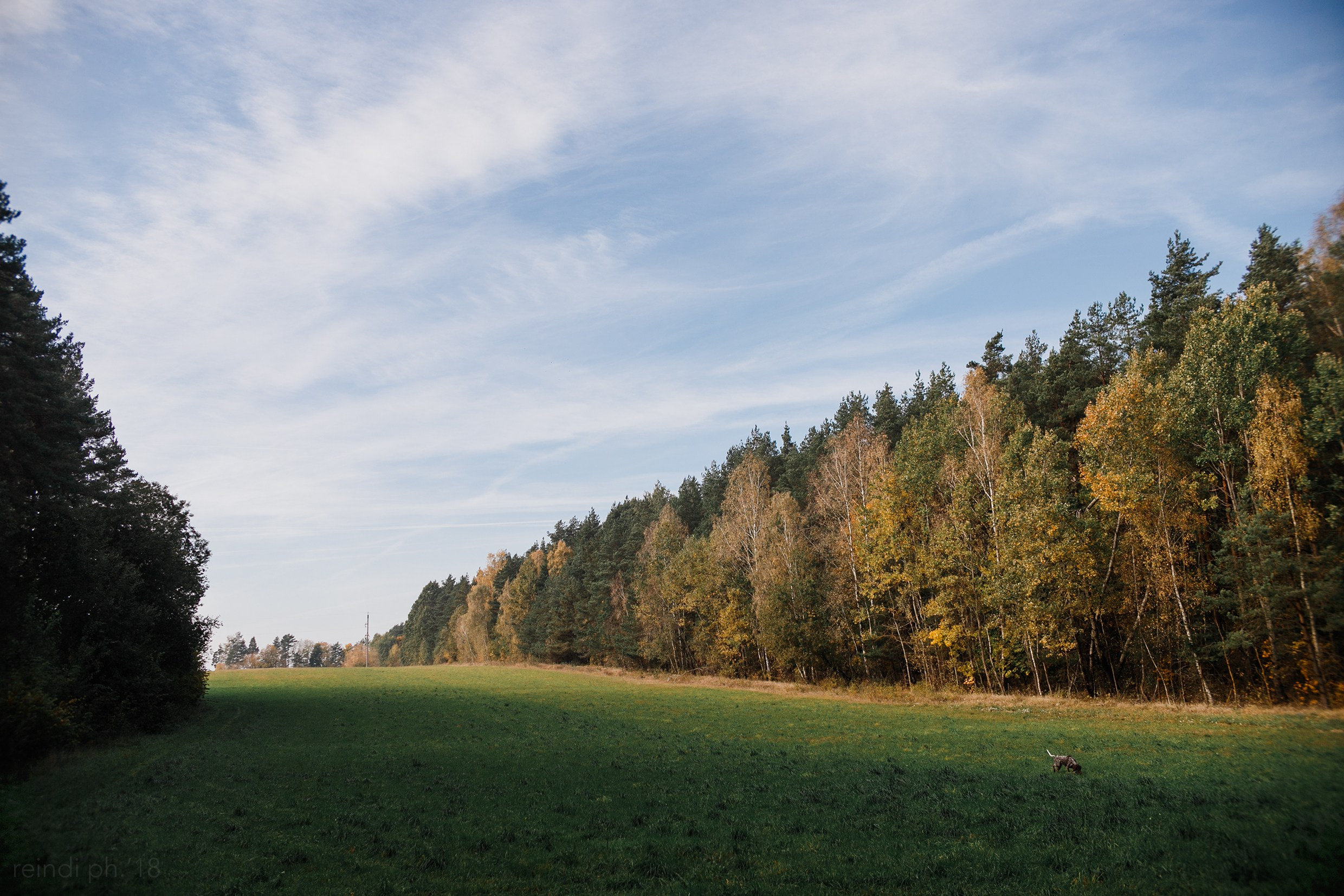 «Kasmach» dogs ammunition. Kaja | fotograf we Wrocławiu | ludzie i psy