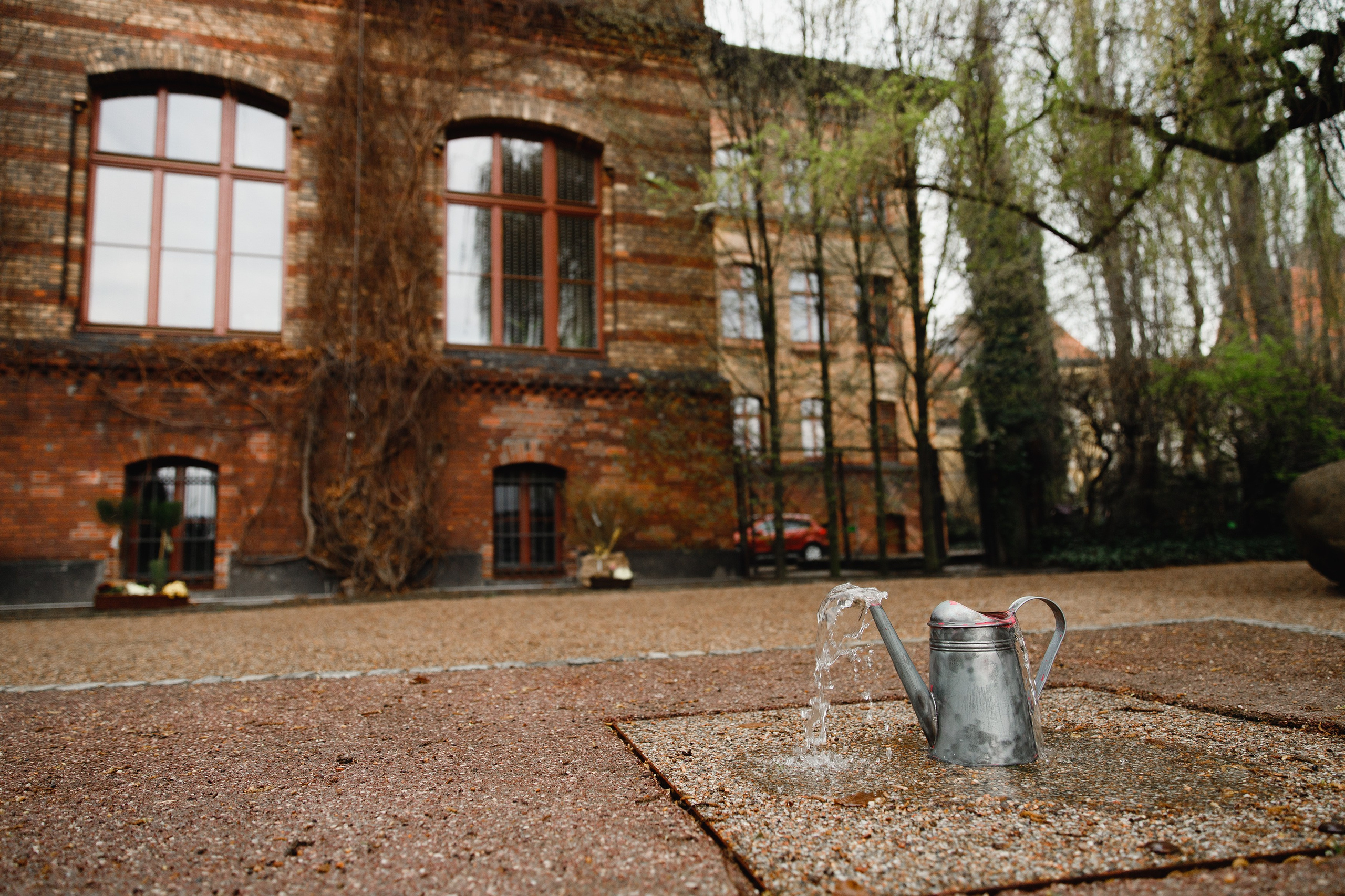 Botanical garden in Wroclaw. Kaja | fotograf we Wrocławiu | ludzie i psy