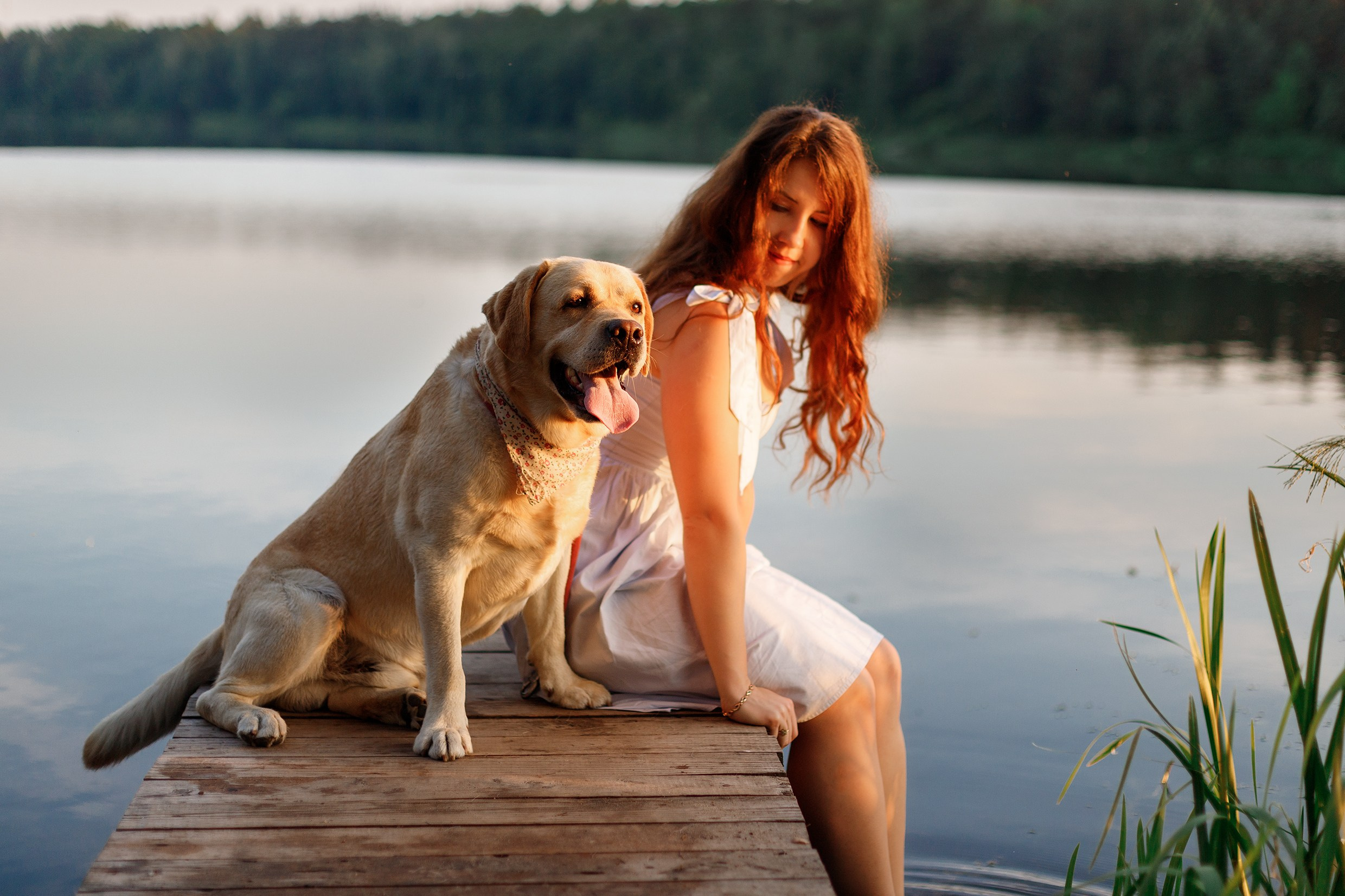 Nastya & Spark and Boss. Kaja | fotograf psów we Wrocławiu
