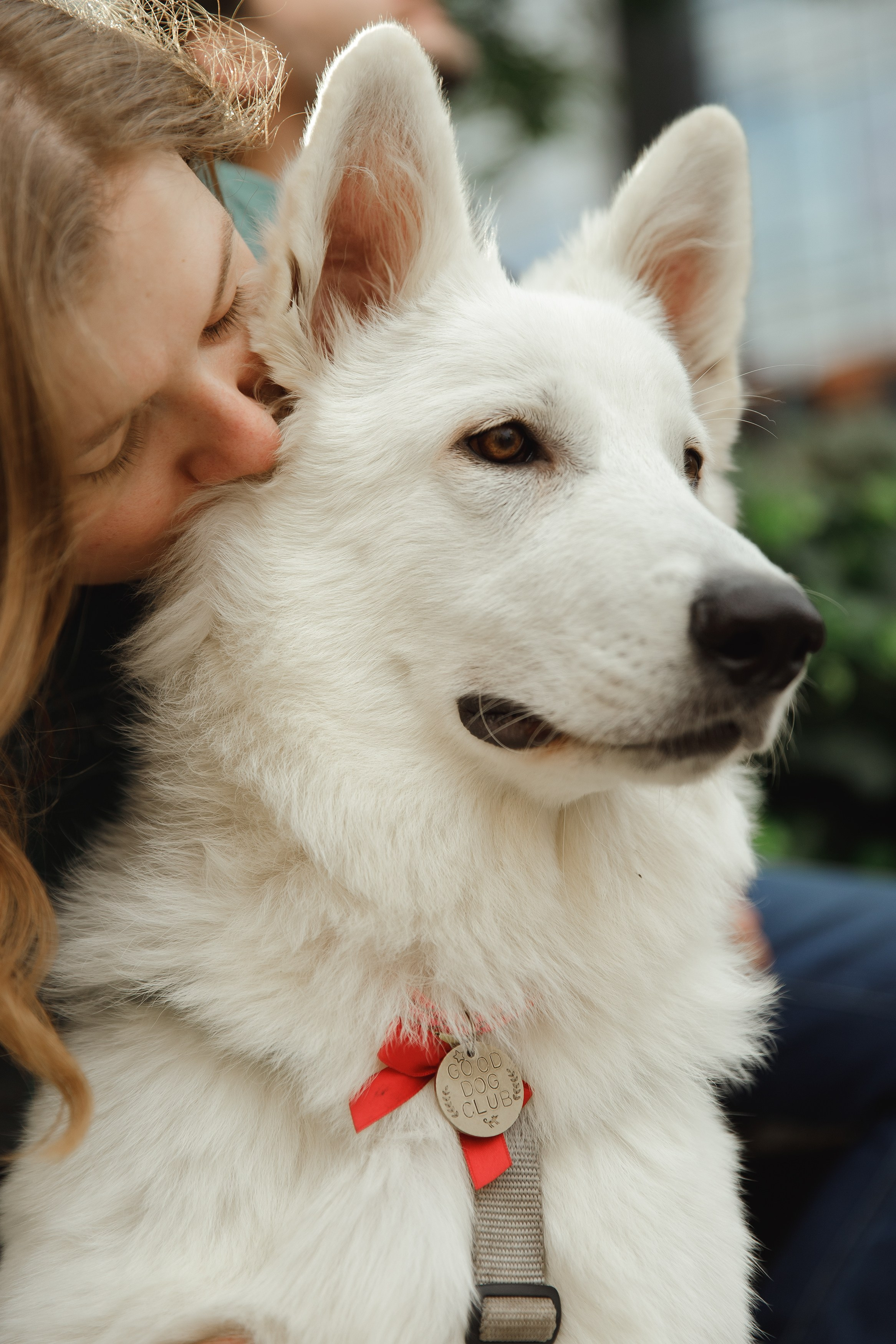 Astra in Leipzig. Kaja | fotograf we Wrocławiu | ludzie i psy