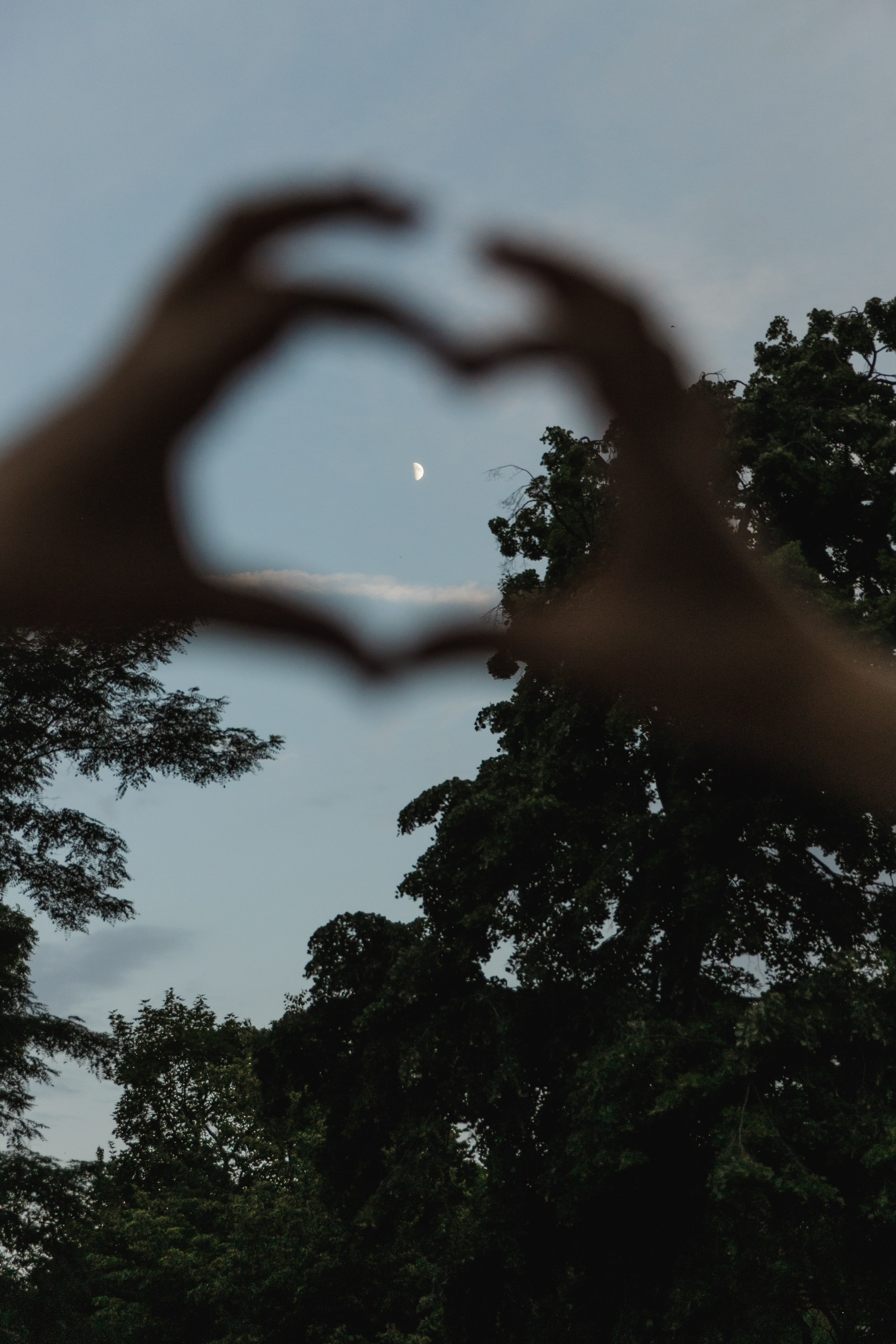 Katya & Sonya friendship. Kaja | fotograf psów we Wrocławiu