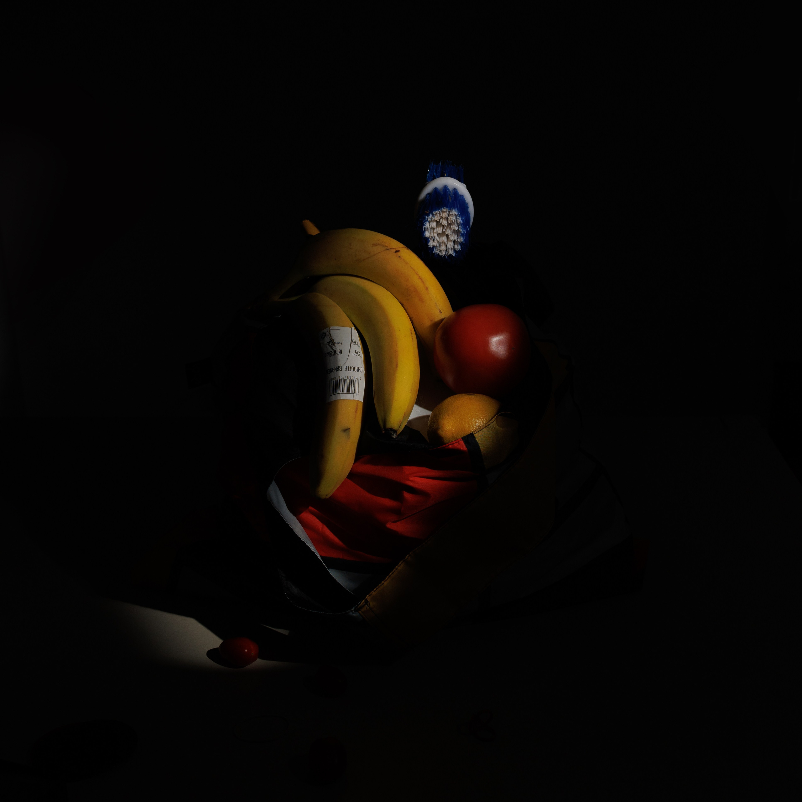 Flowers and Still life. Photographer in the Den Haag Rotterdam Amsterdam Osypenko Oksana