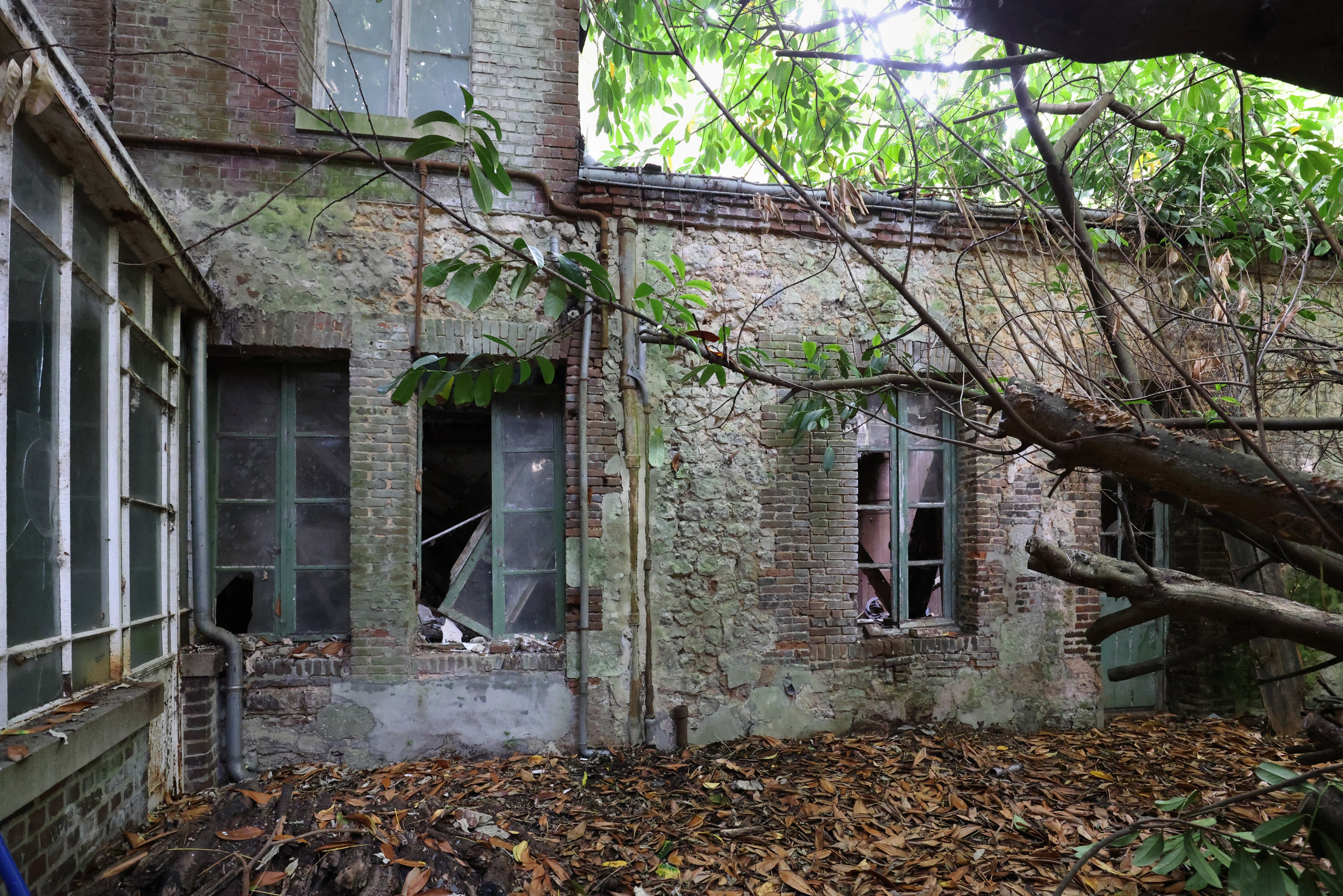 MAISON AU BOIS DORMANT. Natalia Bogdanovska. Films et photographie corporate en France