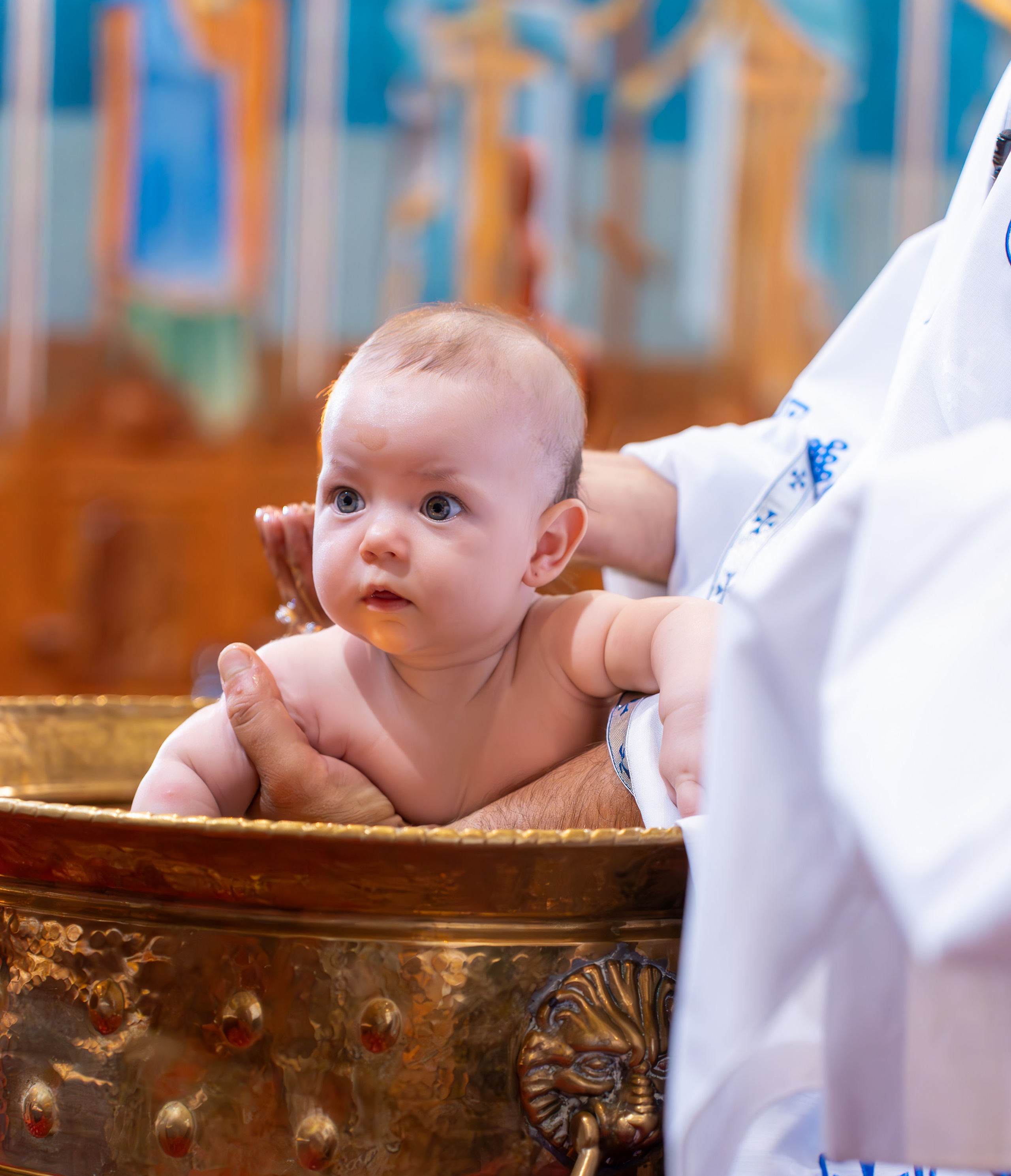 ✨ Portofoliu Botez ✨. Murgeanulucian