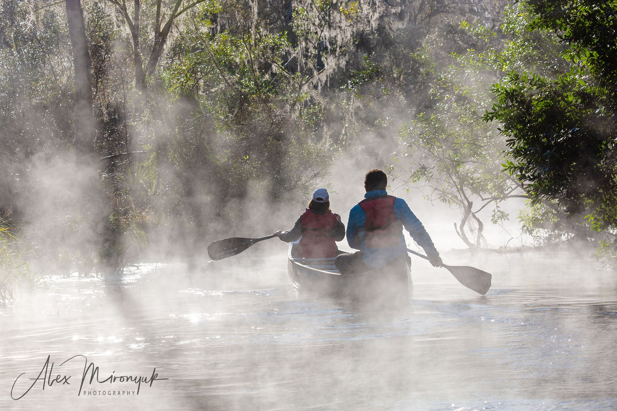 Exploring True Florida: Springs, Rivers & Manatees by Canoe. Pet, Senior, Landscape, portrait studio, photographer in Miami and Sou