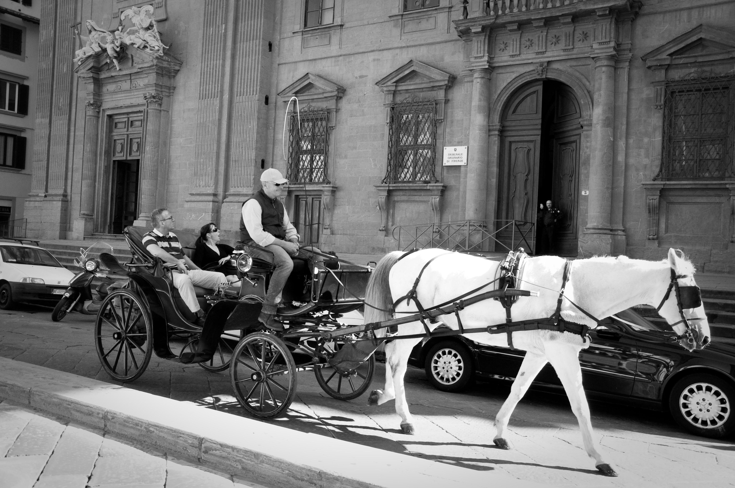 Pe barci — Florence. Fotograf evenimente in Arges — Mihai Nitoiu