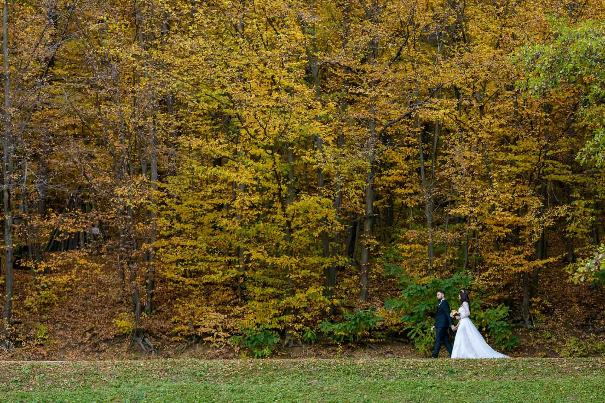 Larisa si Flavius — Sedinta foto. FOTOMIR