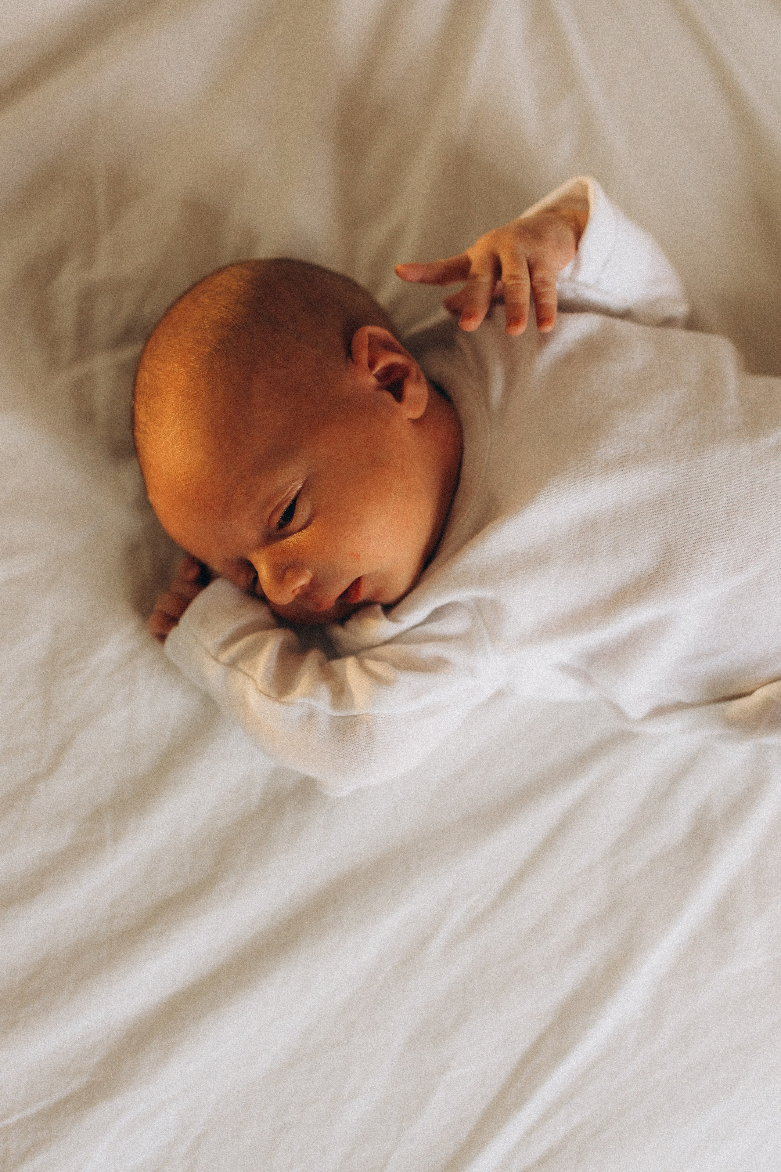 Shayne, Alon, Yanay&Kedem