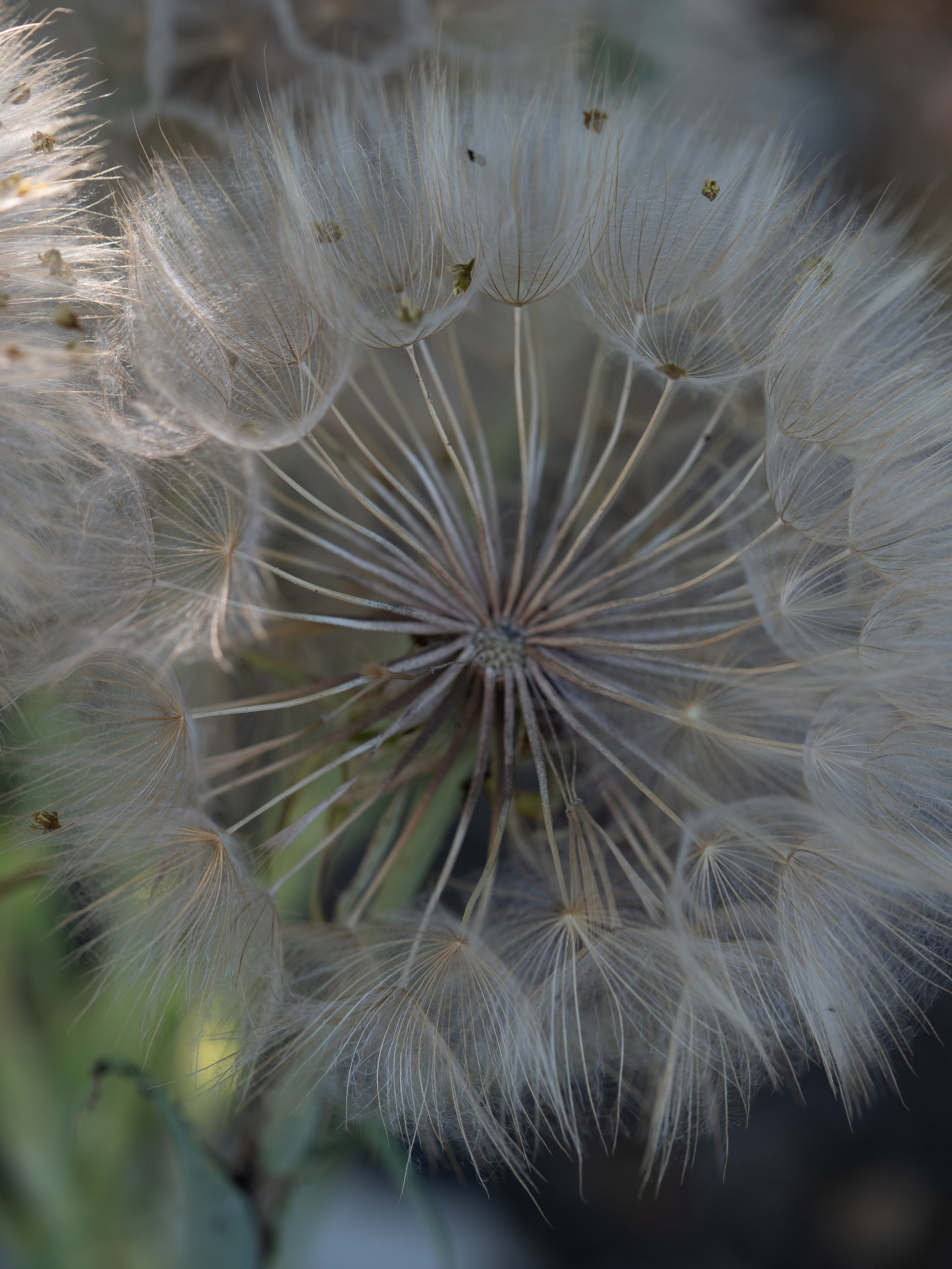 Paisajismo. Fotógrafa de Periodismo y Documentación, Teatro, Cine, Shooting para Modelos, Bodas, Bautizos, Comuniones, Familia y Eventos