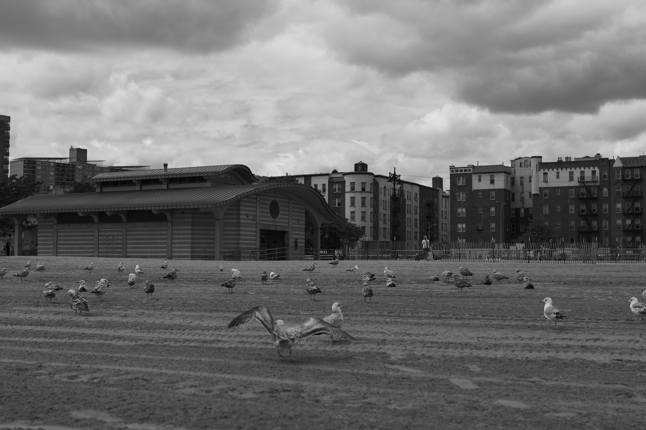 Street съемка. NYC based photographer