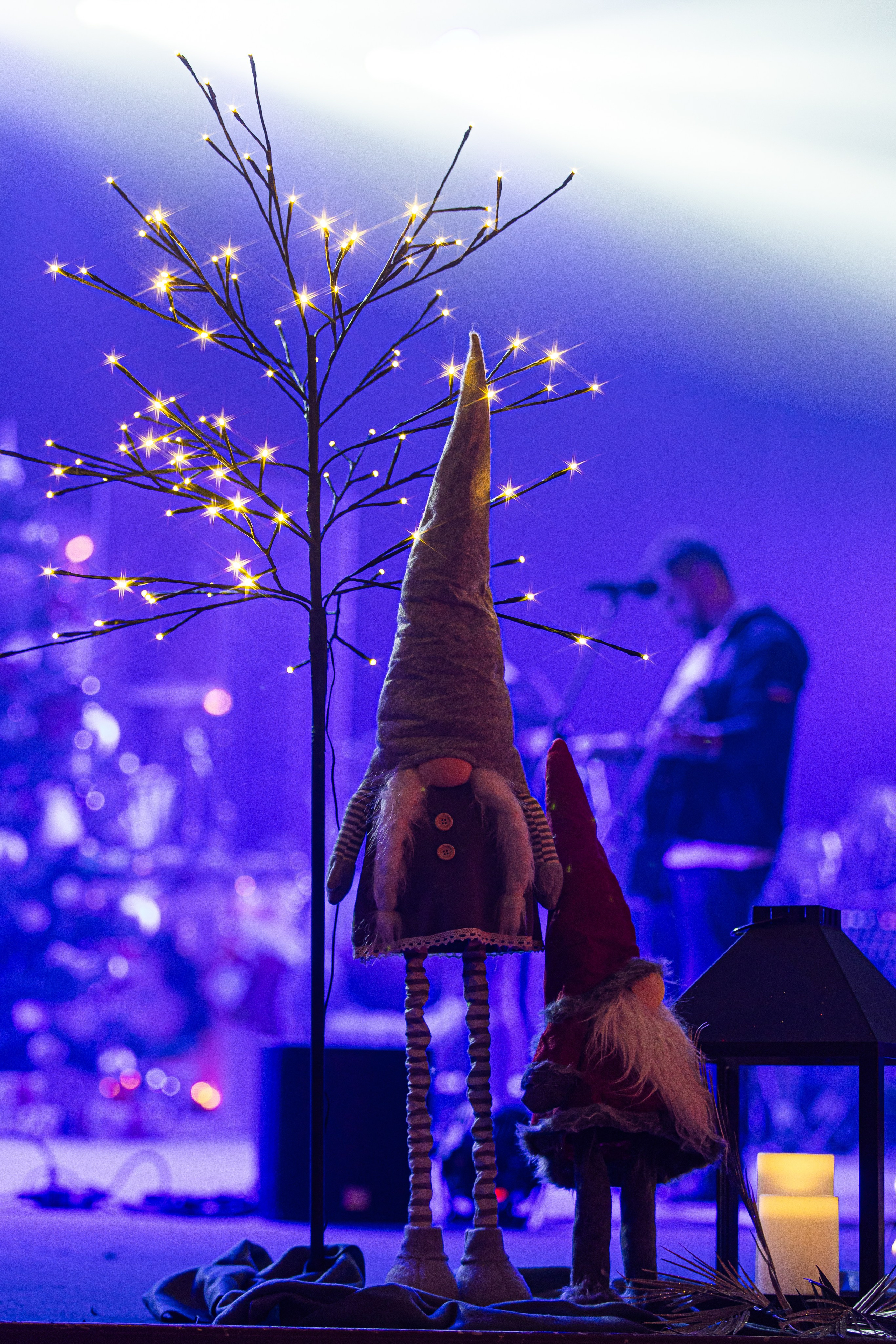 Скай. Репортажний фотограф/анімаліст КИЇВ