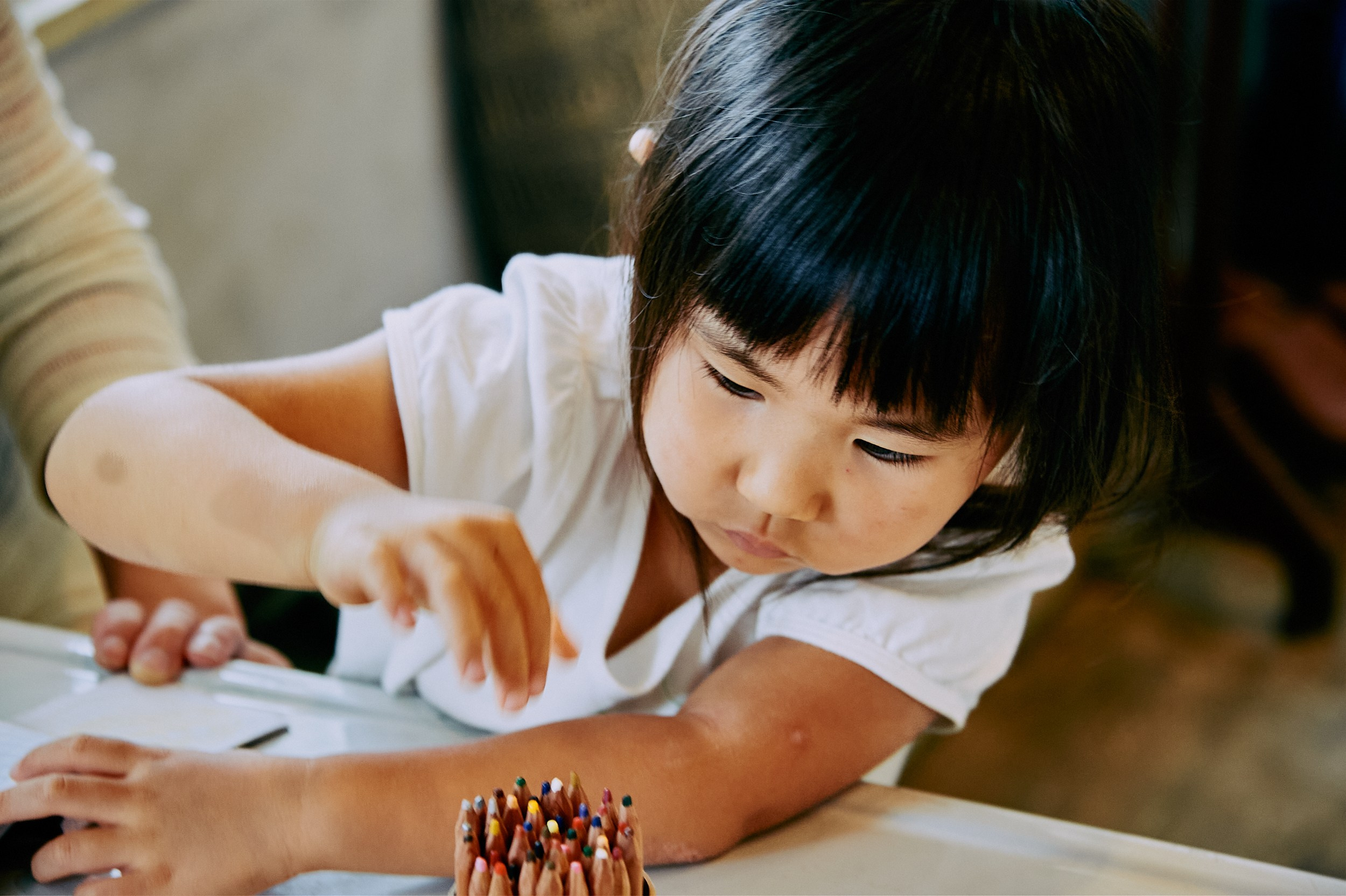 ライブ刺しゅうがやってきた ! !. MT
