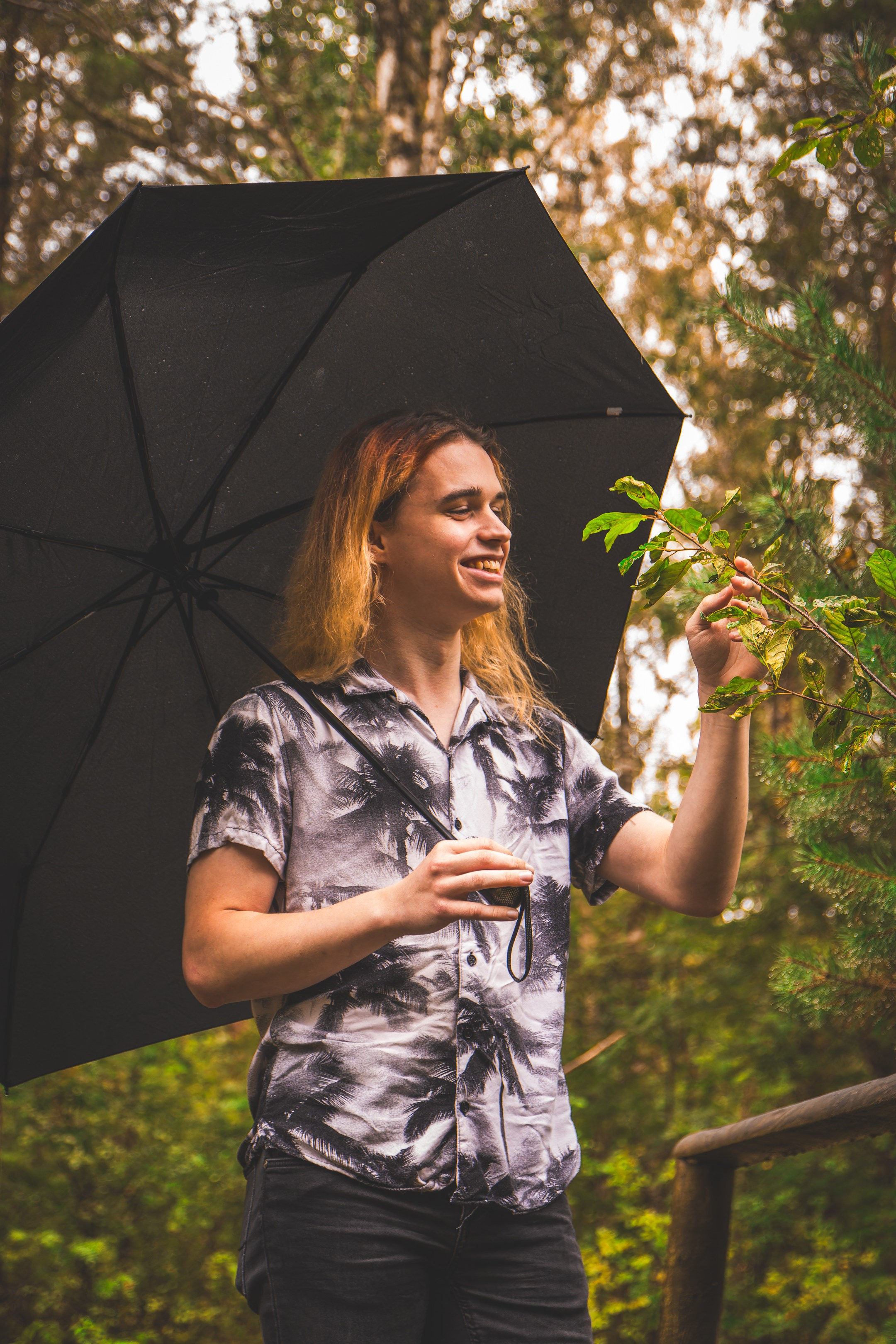 Mets, vihm ja jahedus (Dimitry). Nebula 25 — Fotod teie hingele