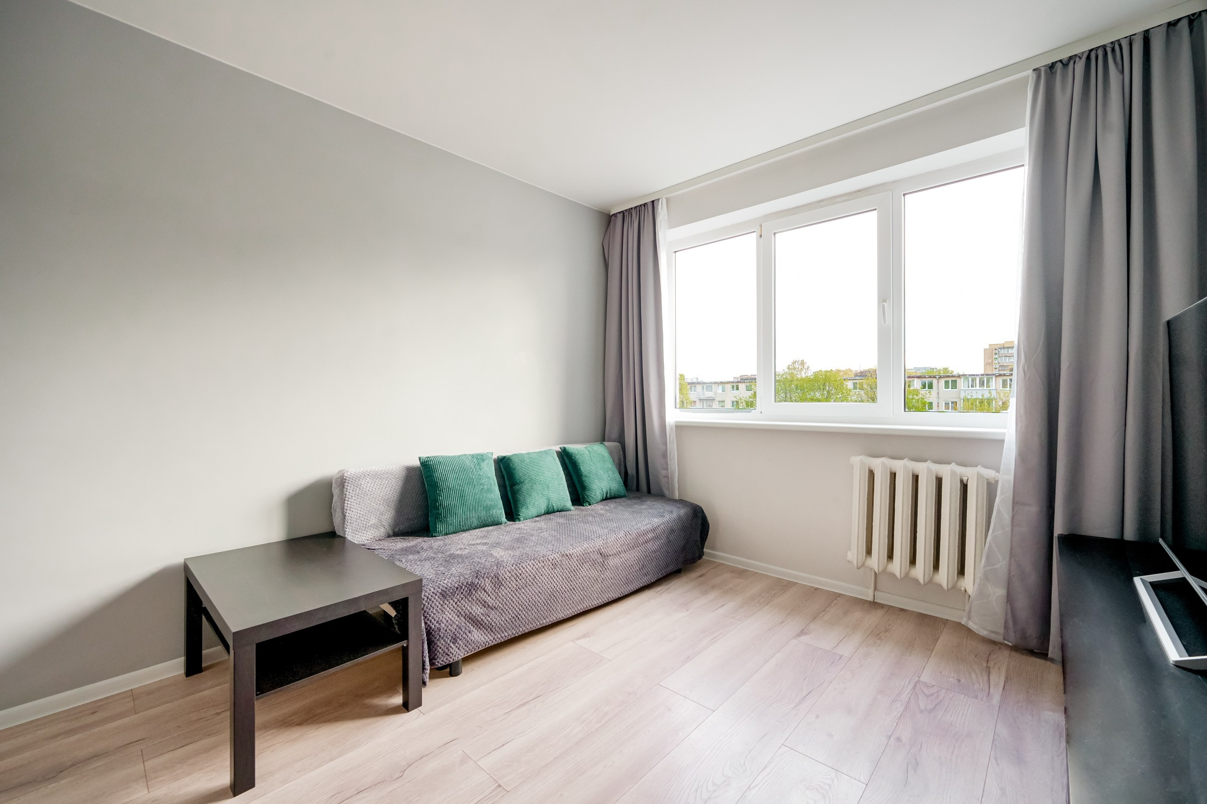 Savanorių g. 33. Elina Sapiega fotografė Vilniuje