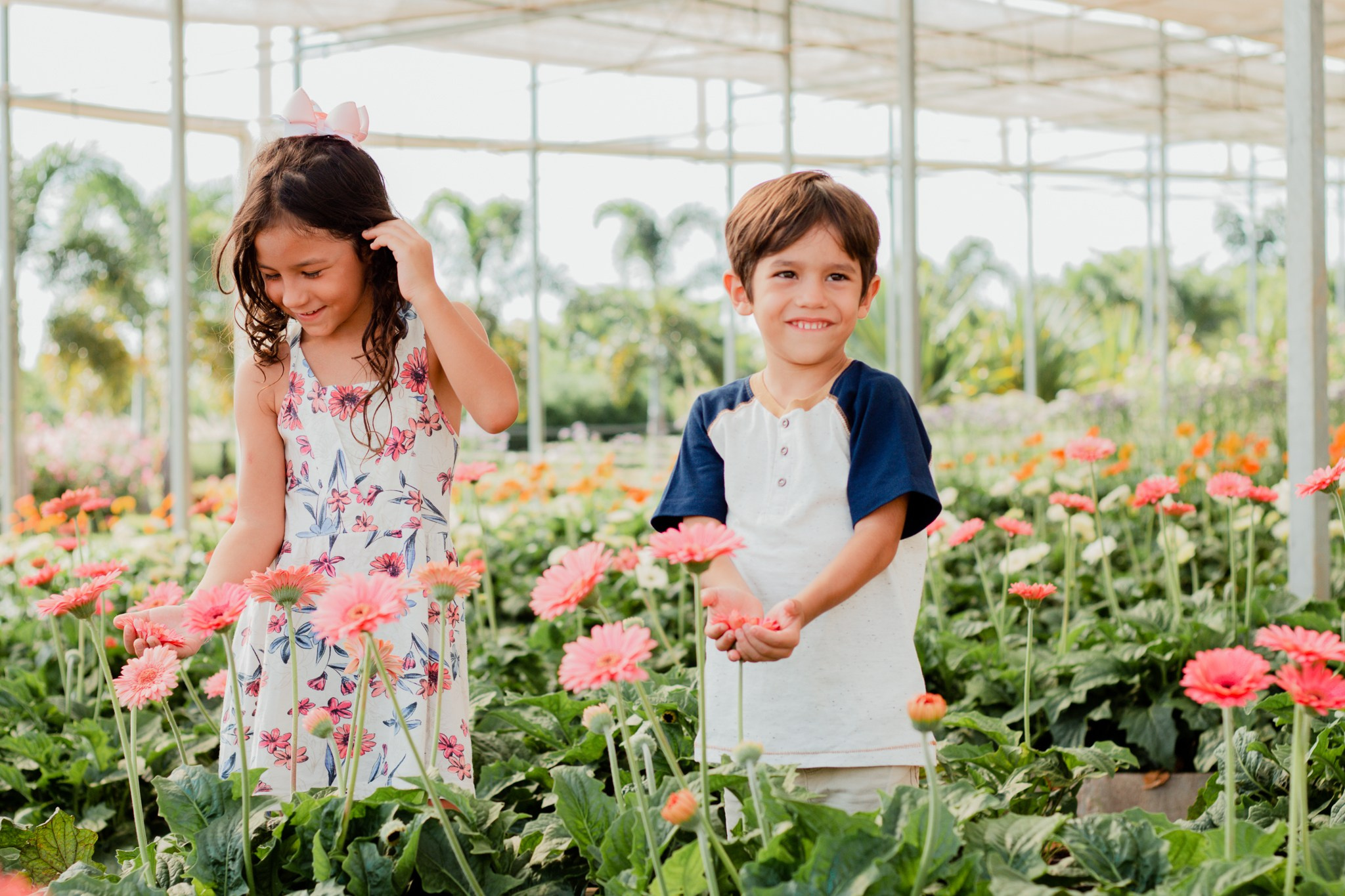 7 Lugares Incríveis para Fazer Fotos em Holambra | Guia de Ensaios. Joyce Maria Fotografia | Fotógrafa em Holambra