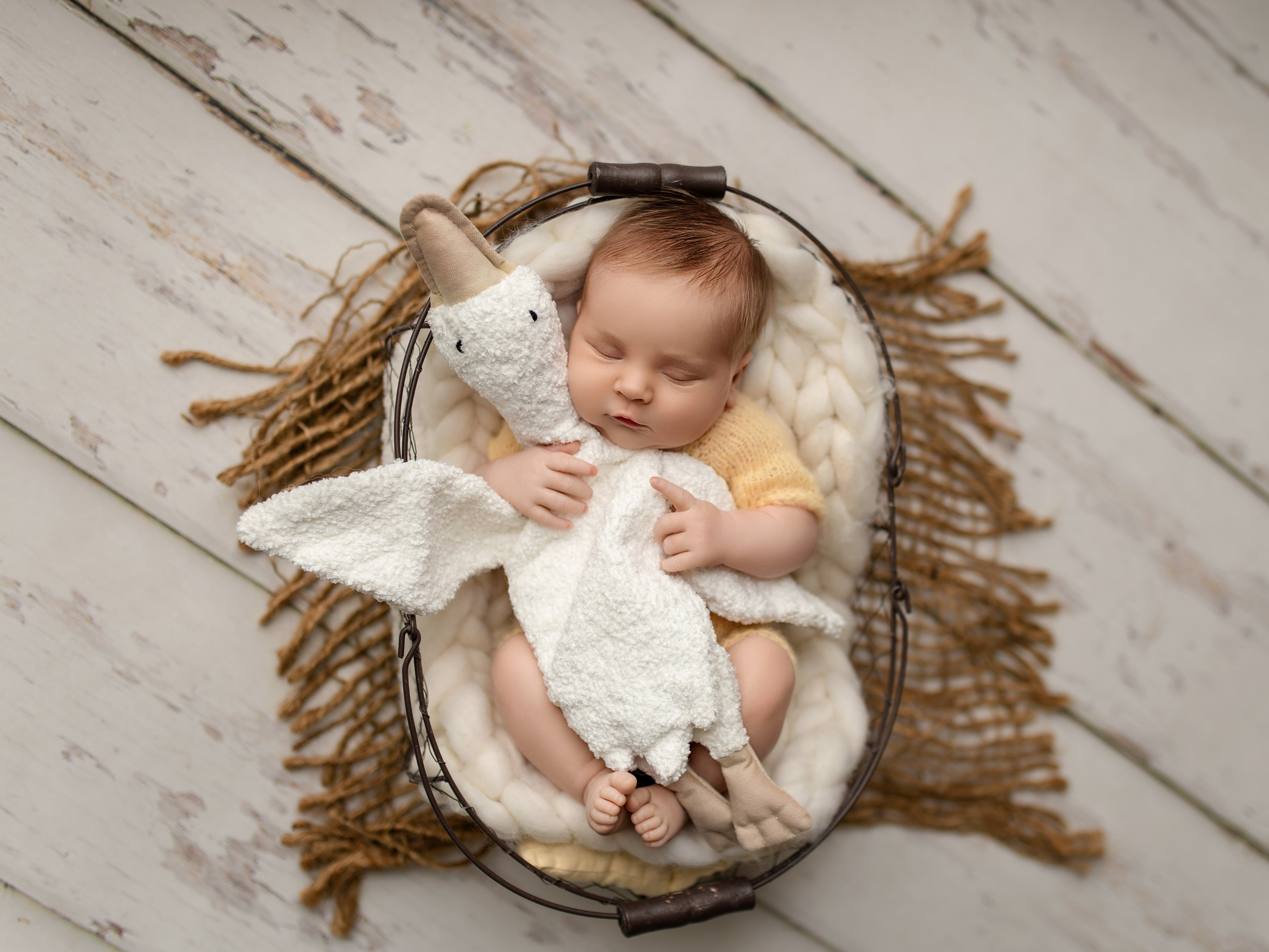 Esu Aleksandra naujagimių ir kudikių fotografė iš Vilniaus