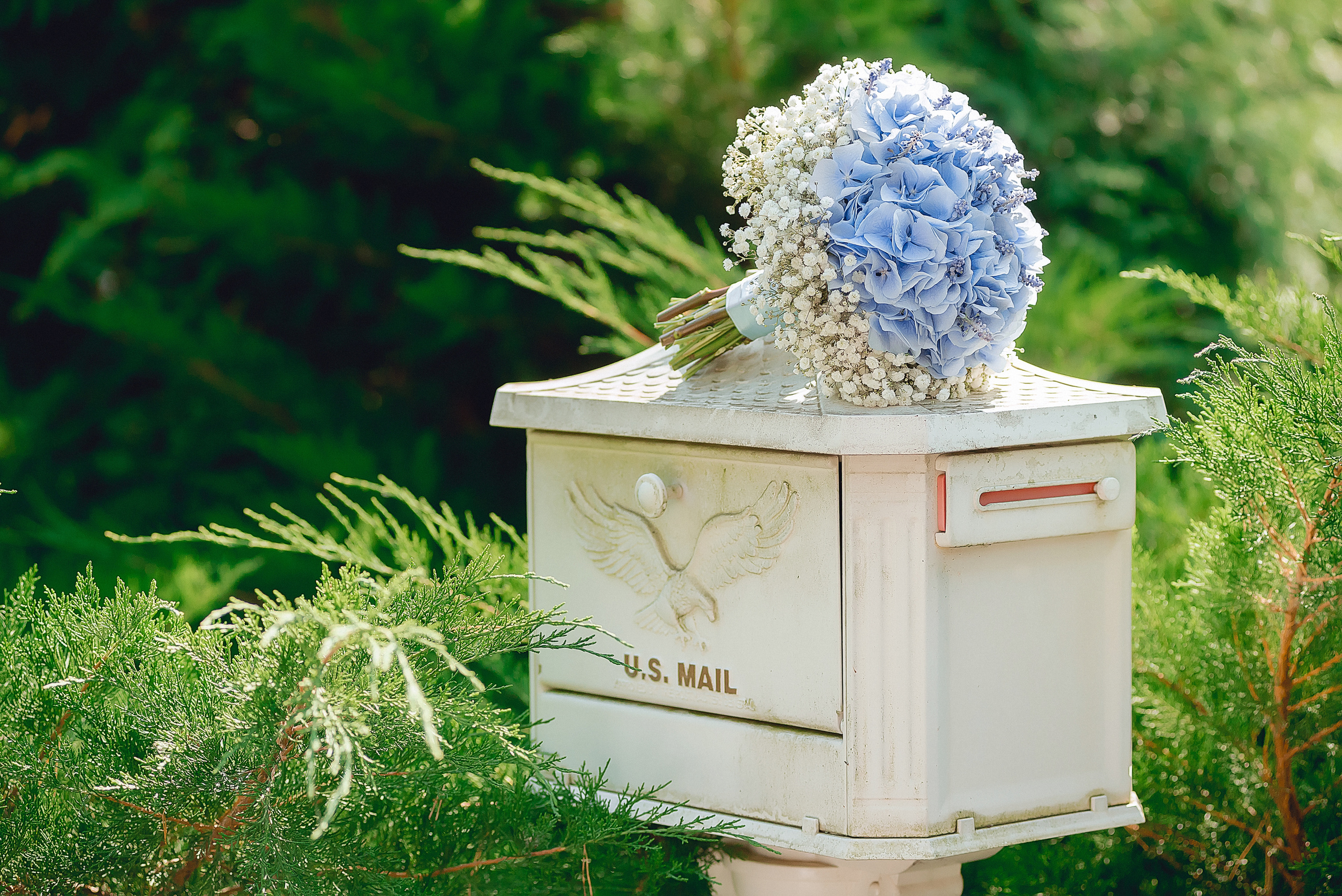 Наталья & Денис. Свадебный и семейный фотограф Екатерина Шестакова