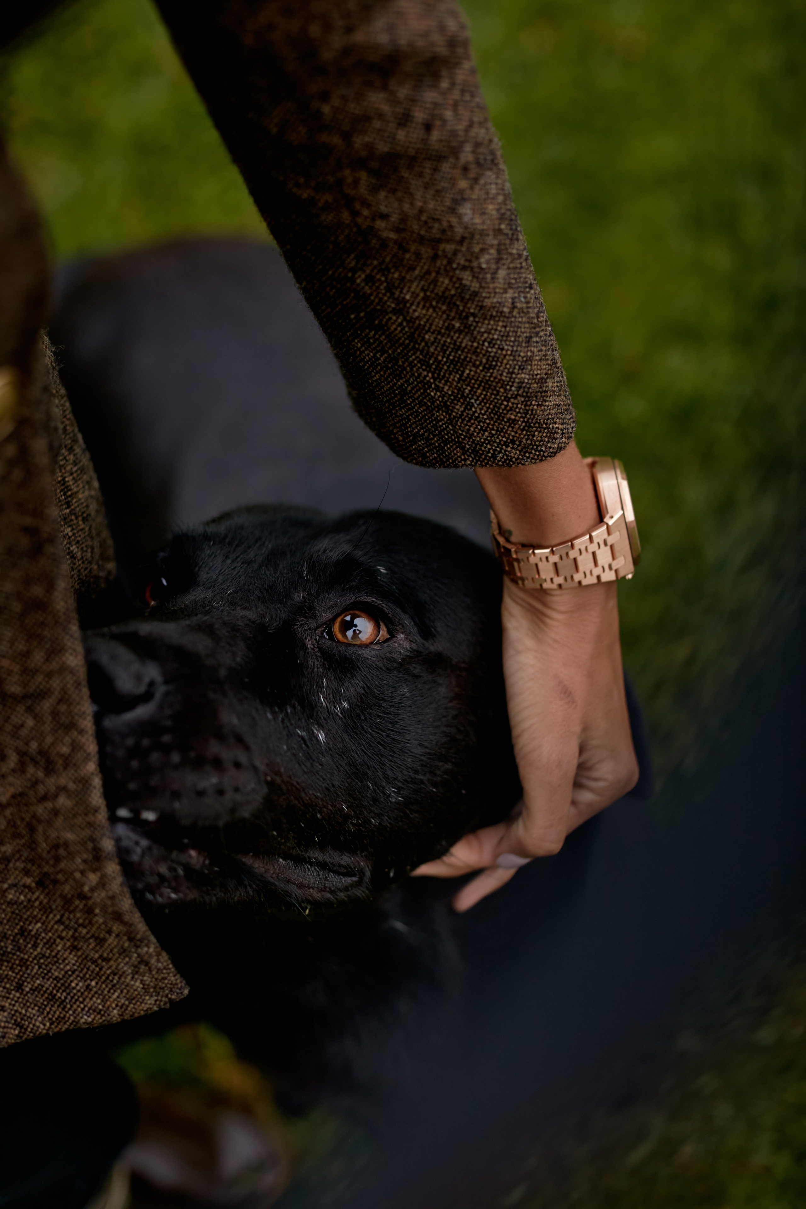 French story. Amazing photo session at a time convenient for you. Y