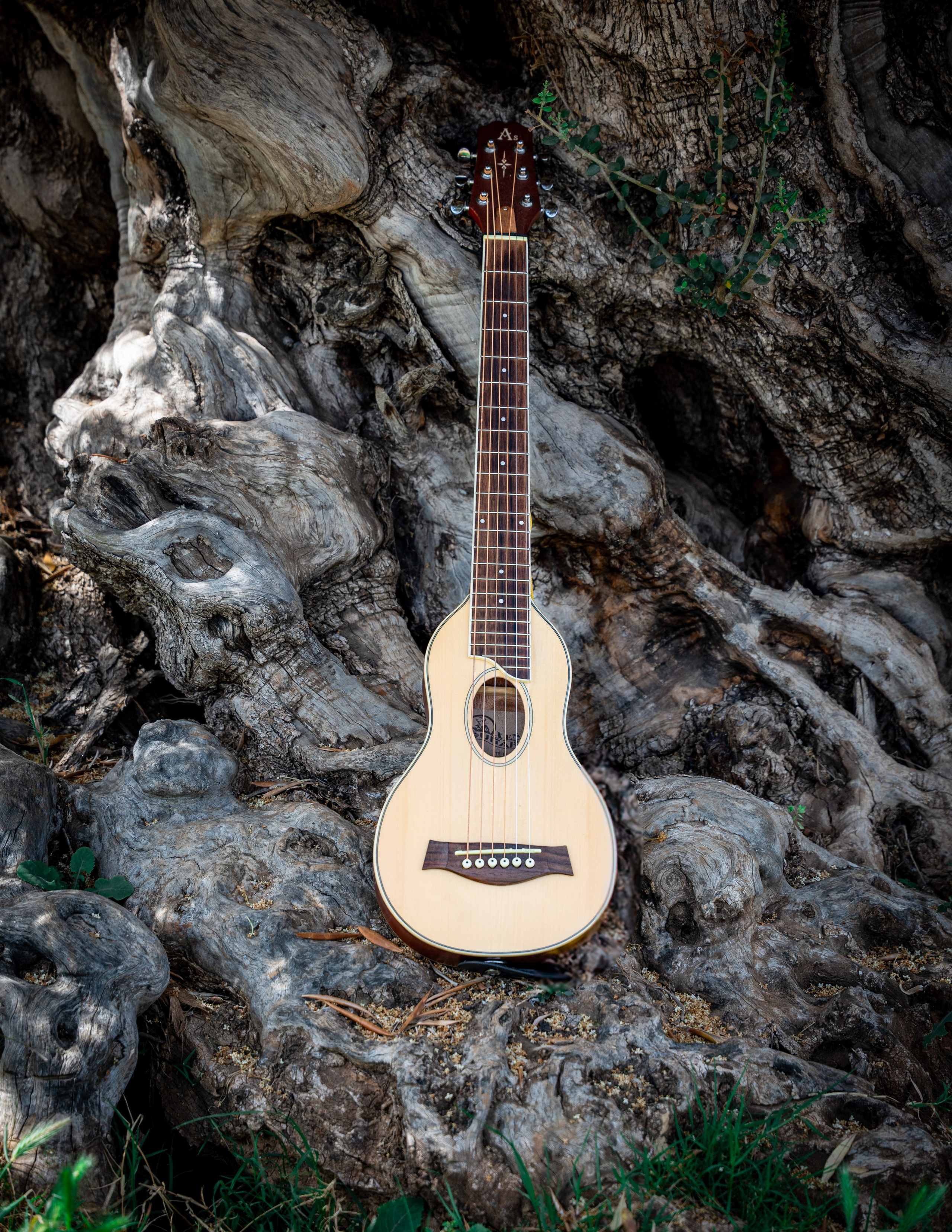 LIKA (ZEYTIN PARK). UNRATED PHOTO