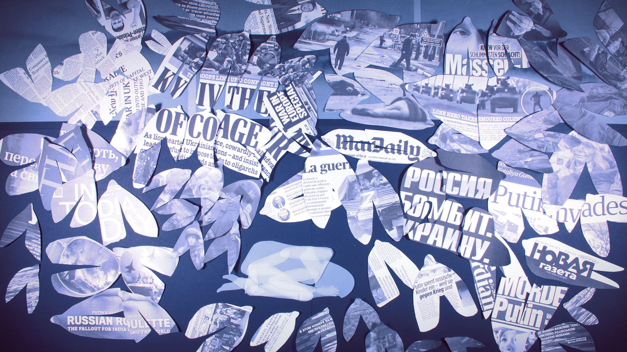 Animations. Artist, photographer, graphic designer, dreamer