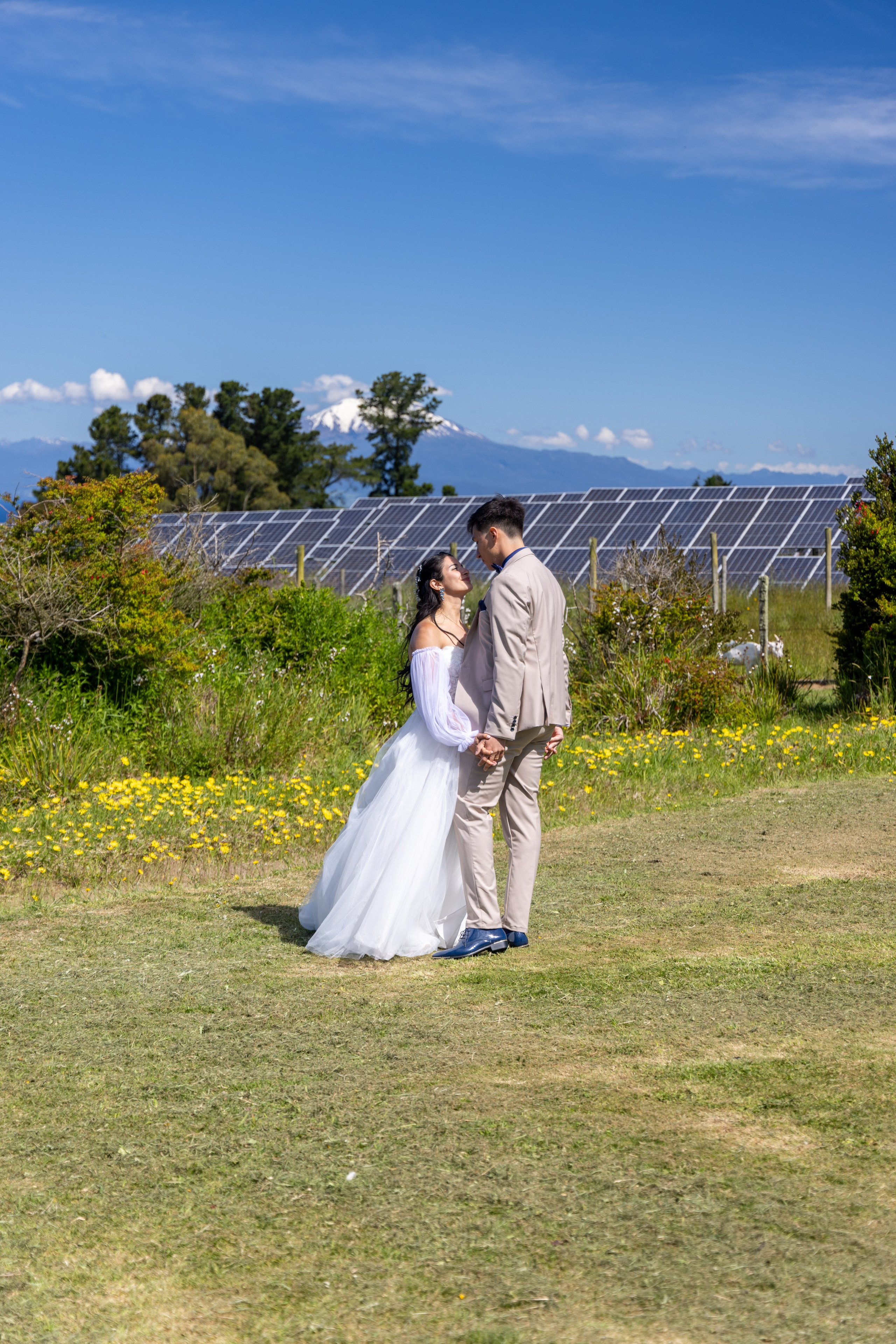 Carol & Ivo. Dinka & Emilio - El arte de preservar lo que no se repite