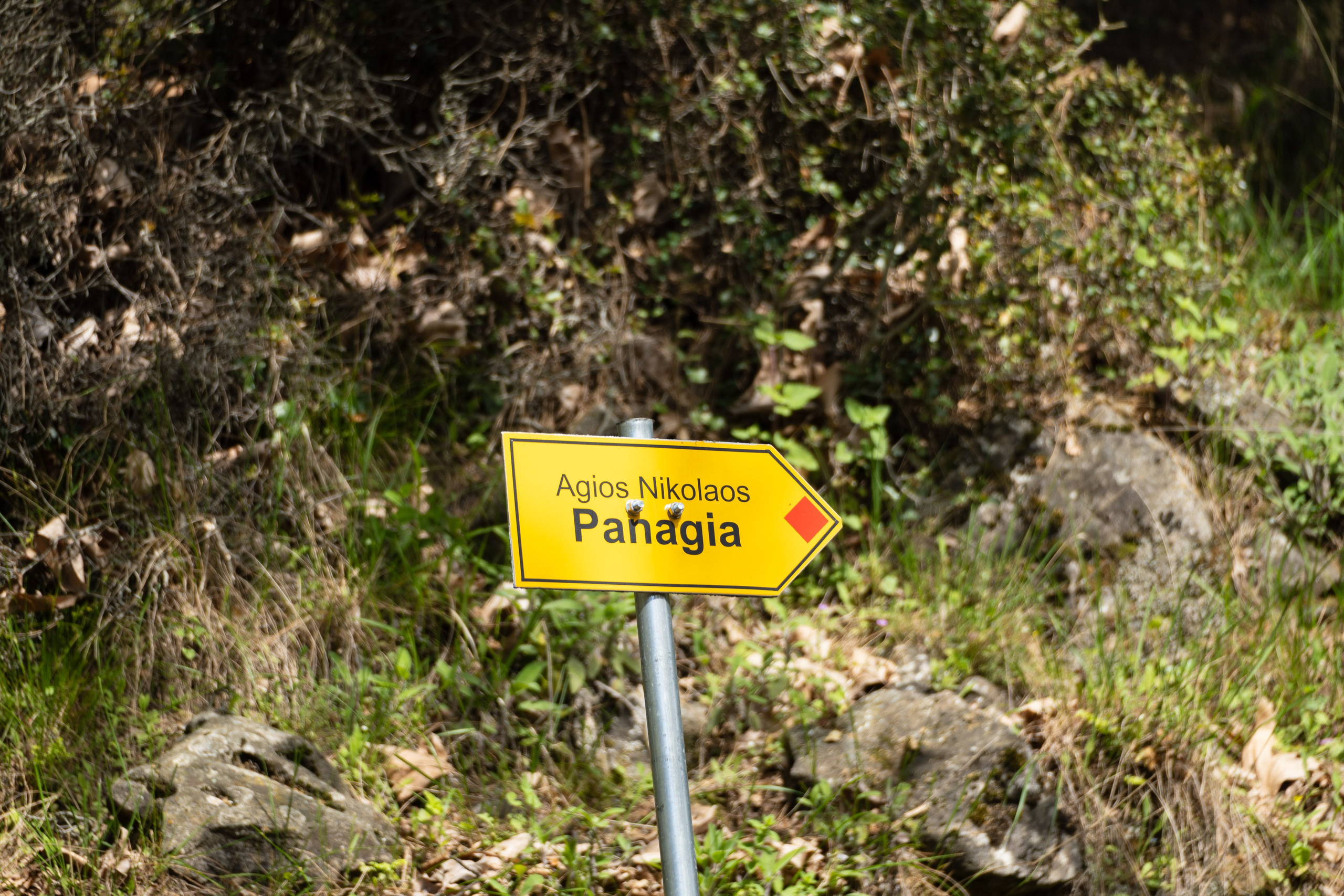 Thasos 2025. Fotografiideplacere.net