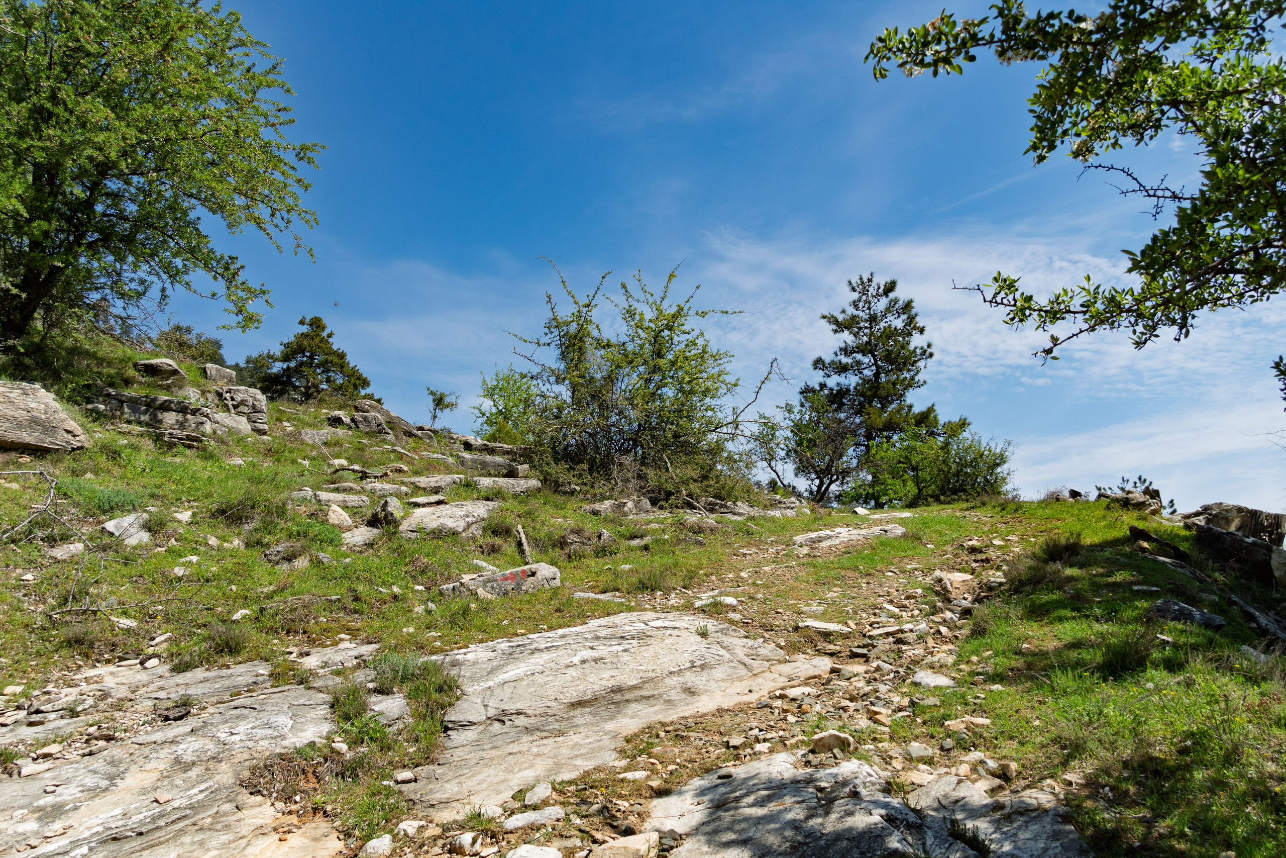 Thasos 2025. Fotografiideplacere.net