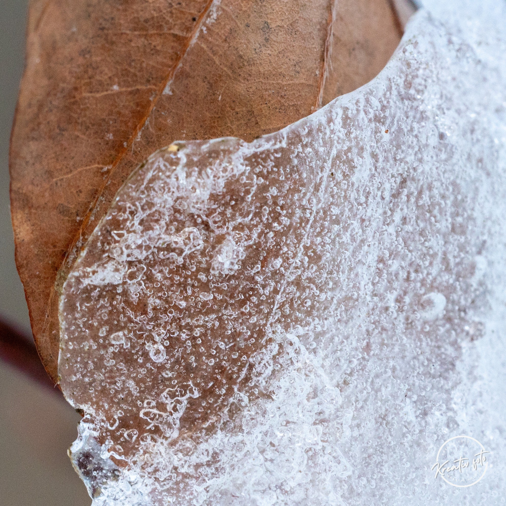 Vinter. Fotograf Aarhus | Portrætfoto Århus | Flotte billeder