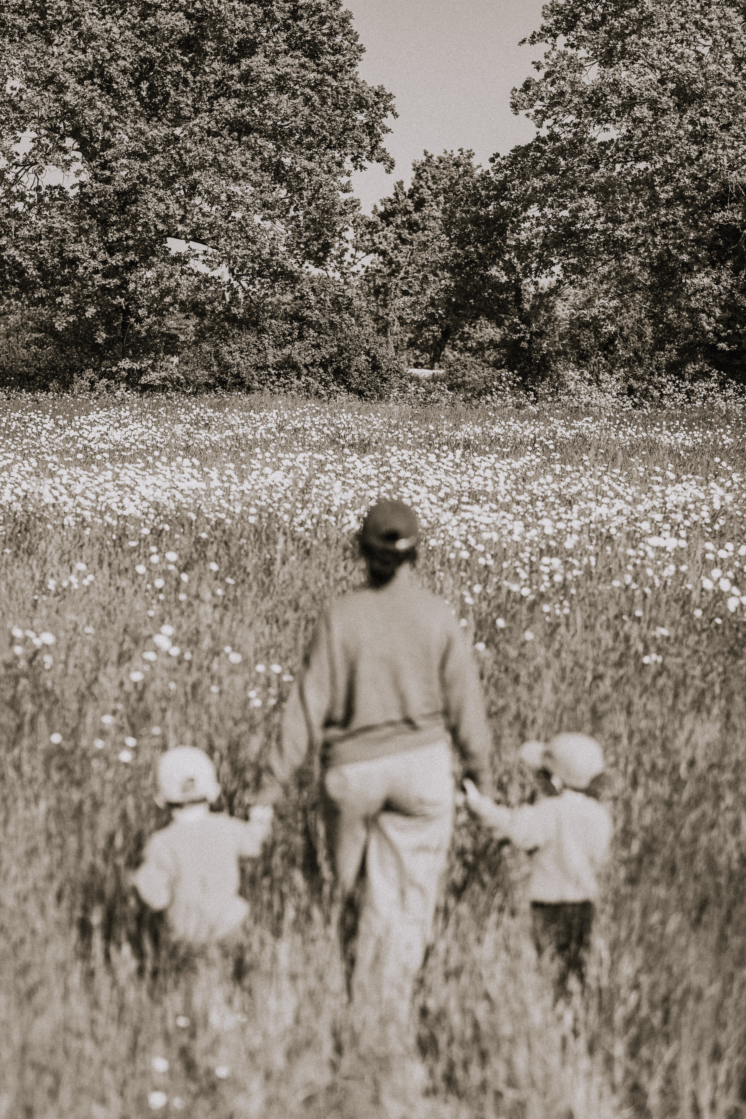 Famille de ranchers dans les champs. Enfants qui cours 