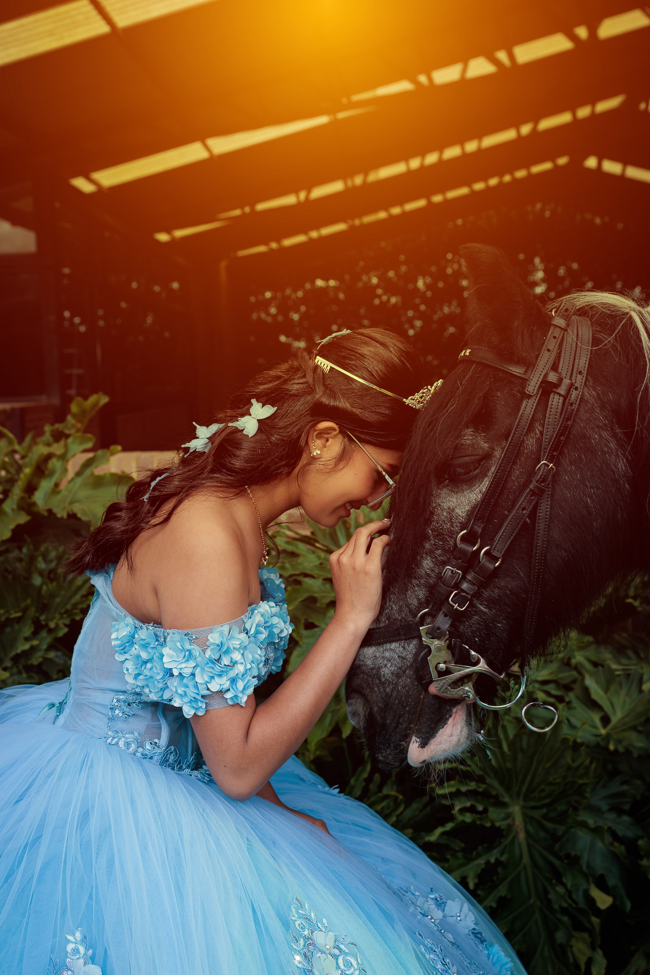 Mariana. Harnol Lopez - Fotografia de Quinces & Bodas