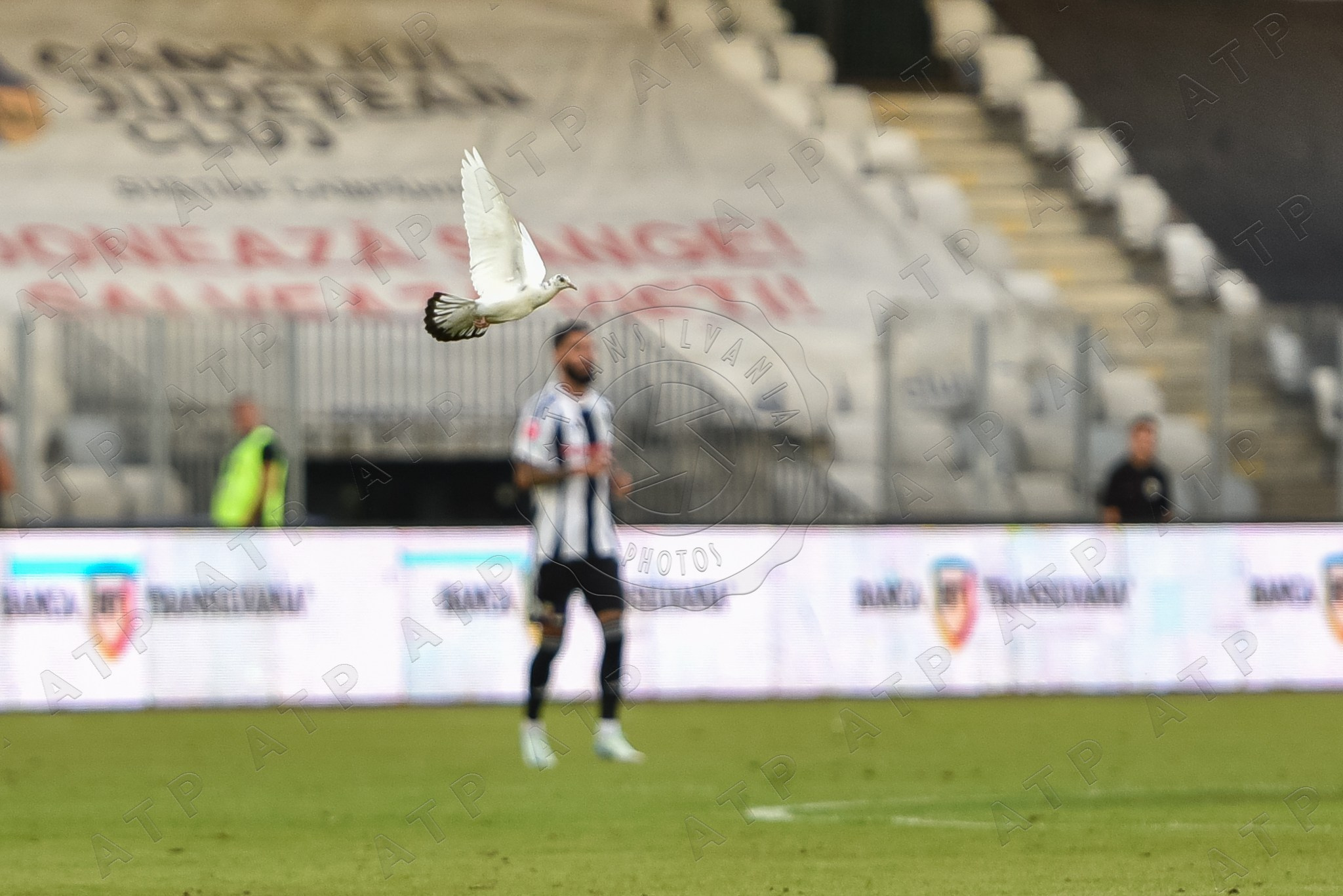 Fotbal. Vescan Pictures - fotografie de eveniment