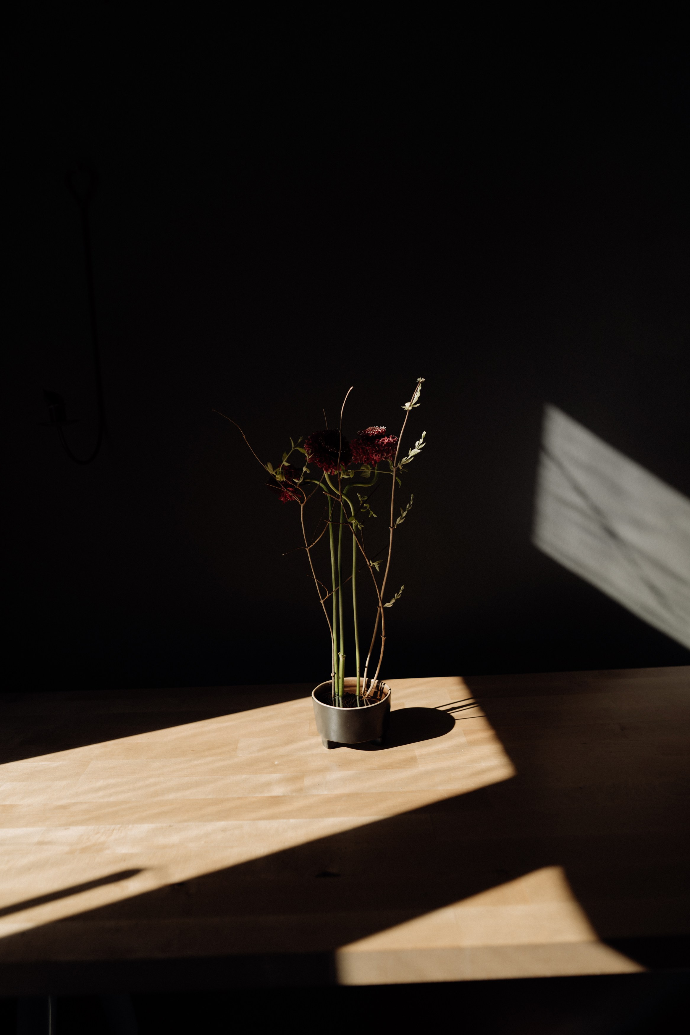 Elena. Фотограф в Праге Анна Лебедева