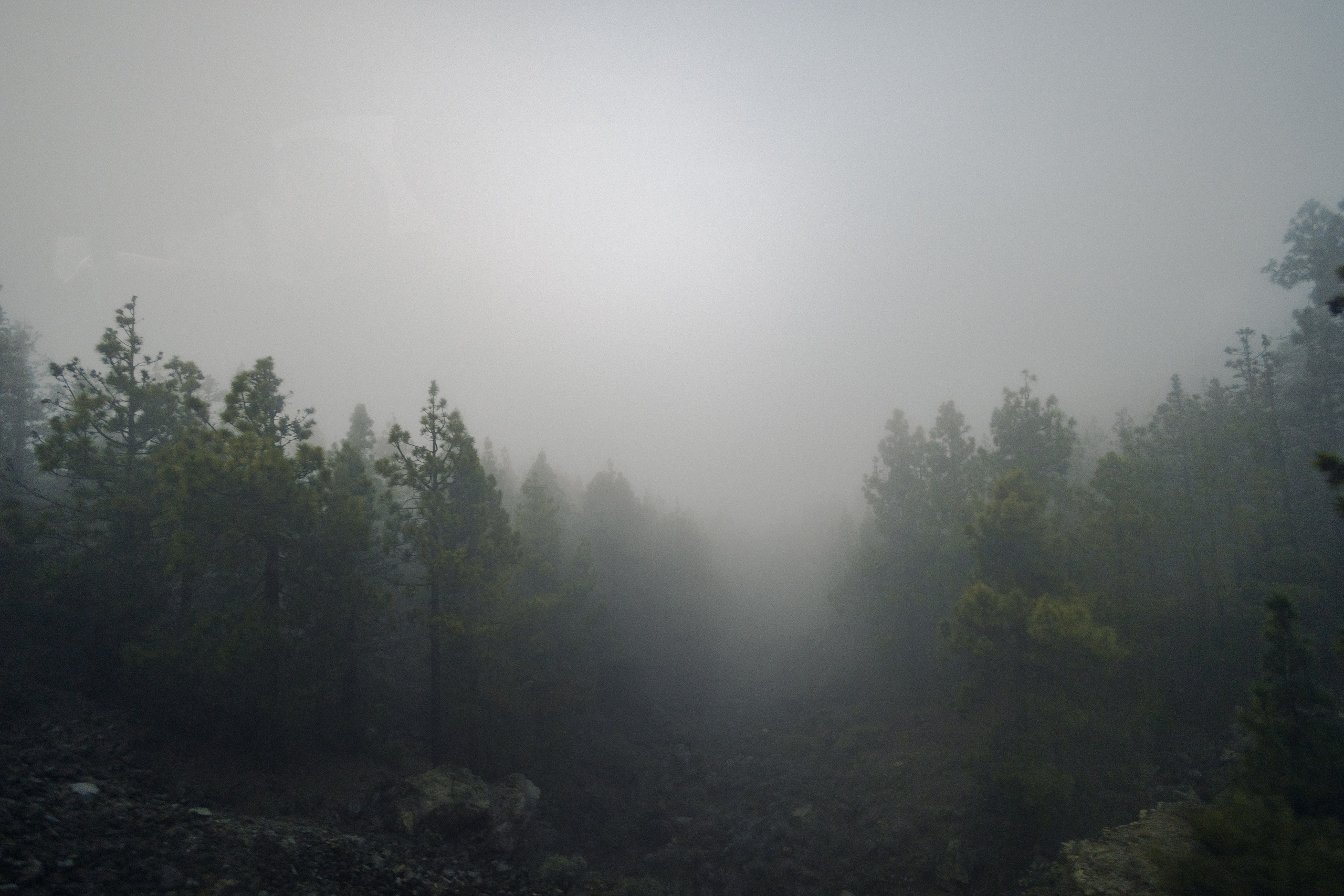Street Photography. Portree- ja perefotograaf Anton Hansen Tallinnas, Eestis