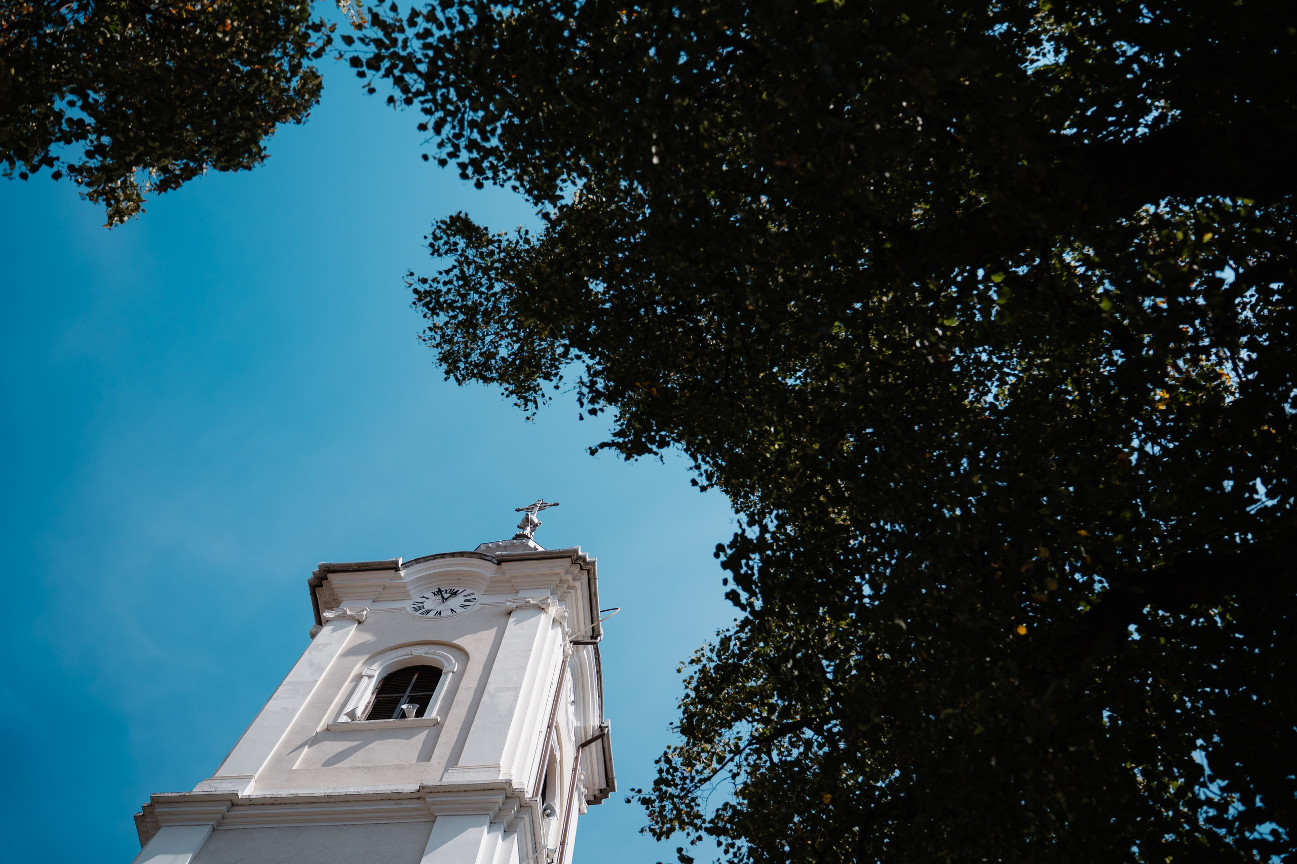 Botez Eduard. Www.paulcatalin.ro