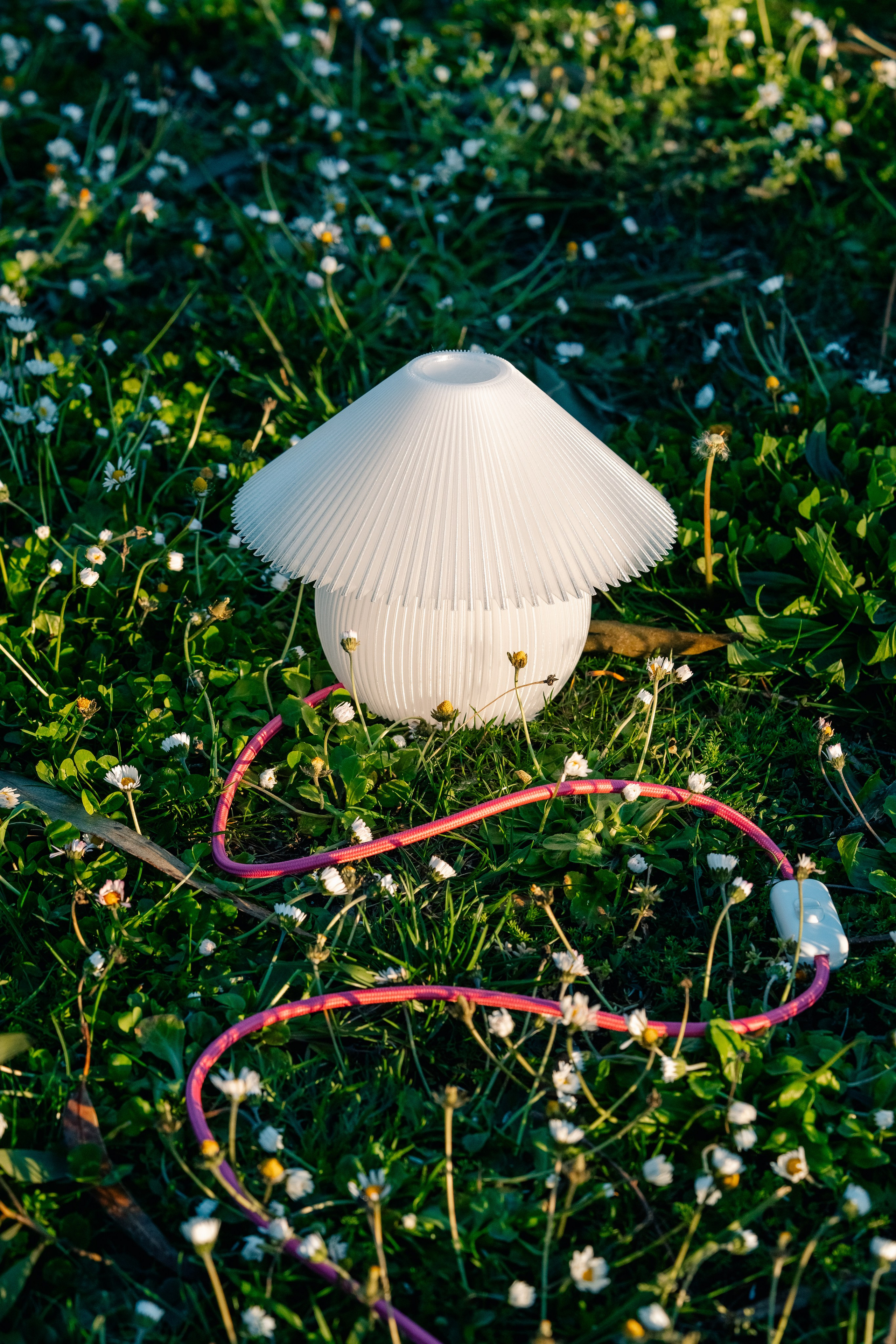 Lumu. Мария Шер. Профессиональный фотограф в городе Порту, Португалия