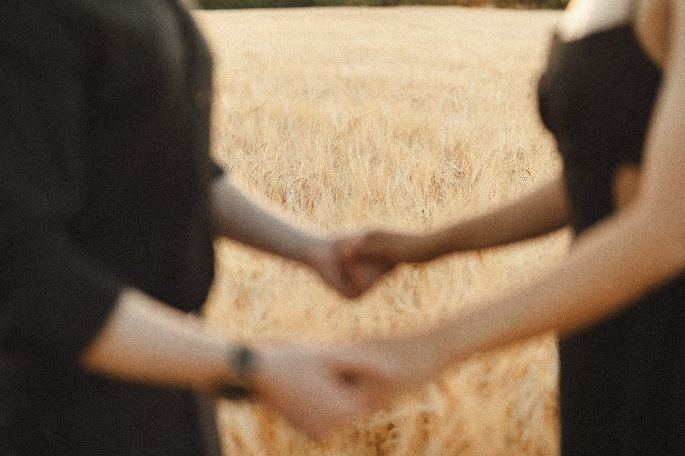 BEN & RIO. WEDDING PHOTO COLOR GRADING