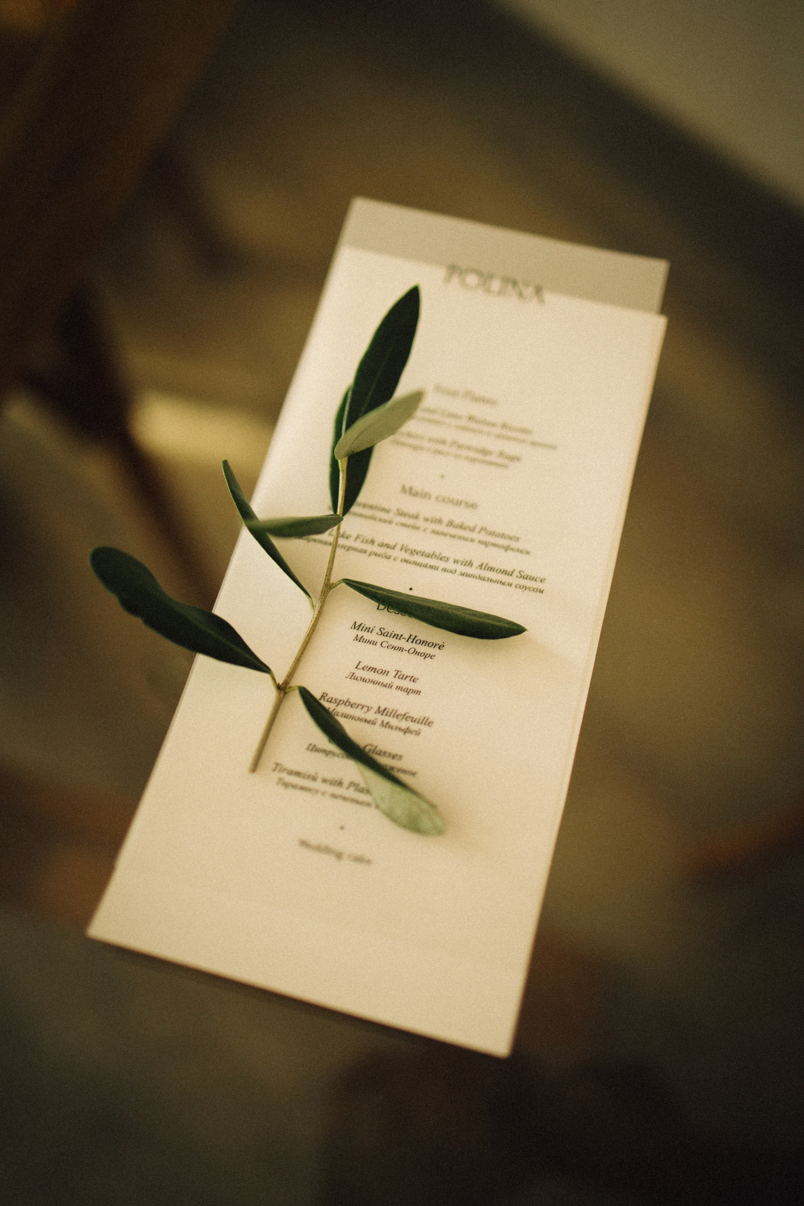 Wedding at Lake Garda in Limone sul Garda and Malcesine, Italy — Sofia and Egor. Liza Bizzaro — Italy Wedding, Love Story & Portrait Photographer in Milan, Turin, Piedmont and Across Italy