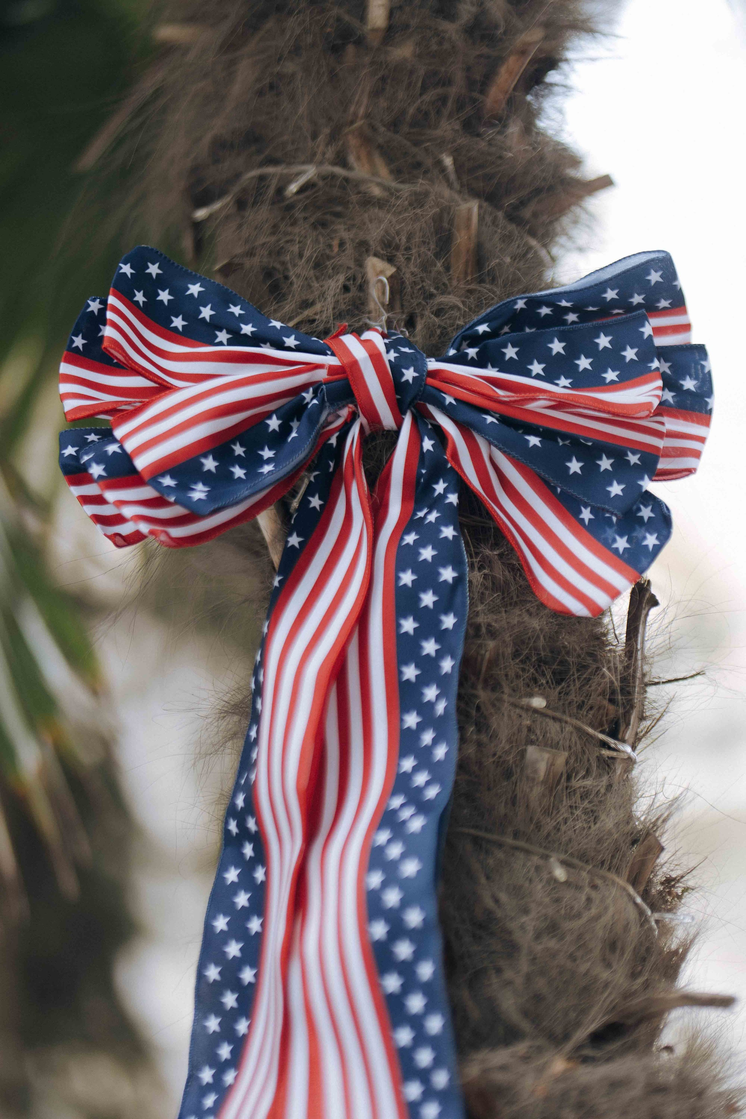 250th ANNIVERSARY OF AMERICA’S FREEDOM. Wedding&Event photographer Ismail Rzayev in Baku