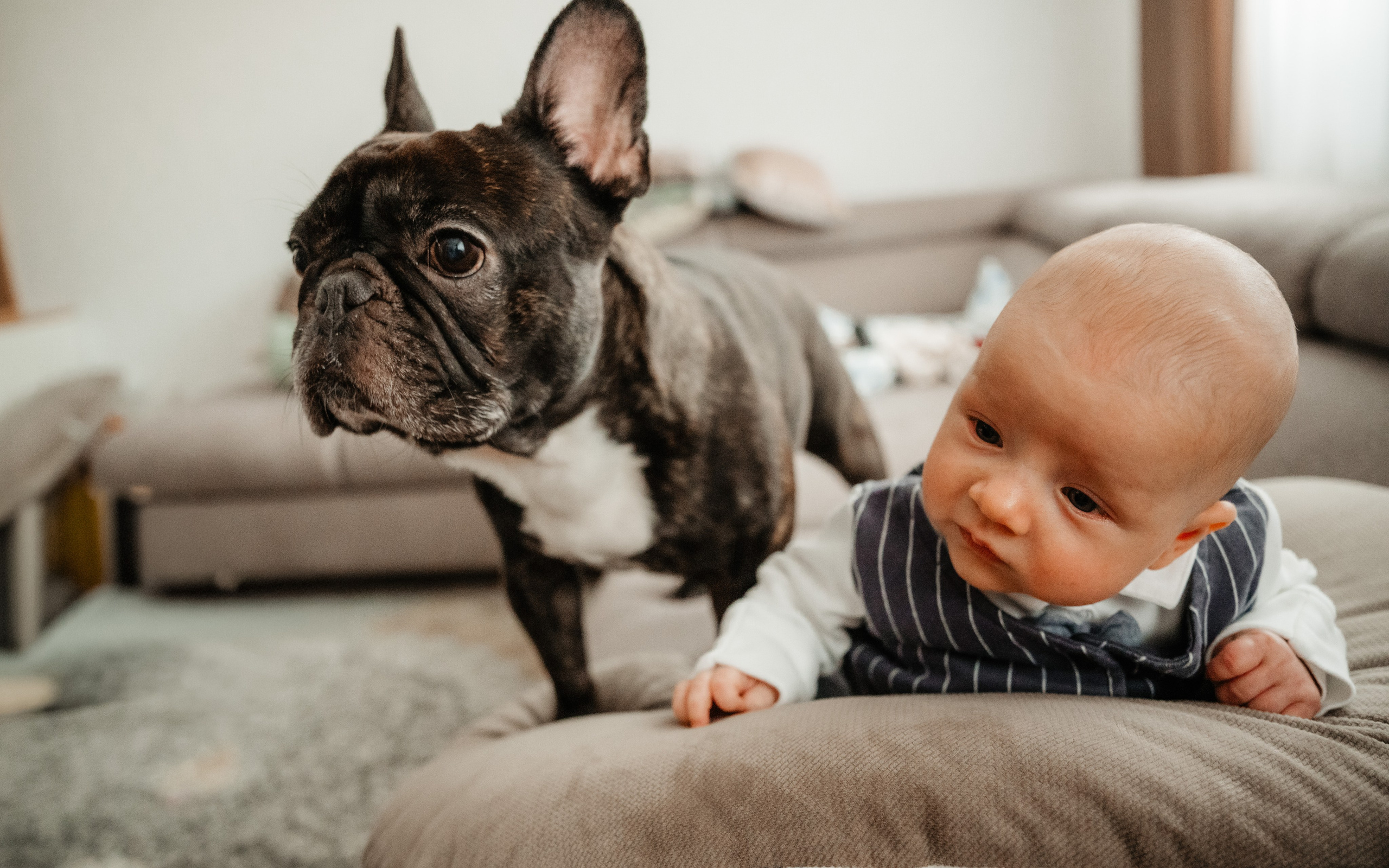 🤎 V i c t o r - Taina Botezului. Wedding & Family Photographer