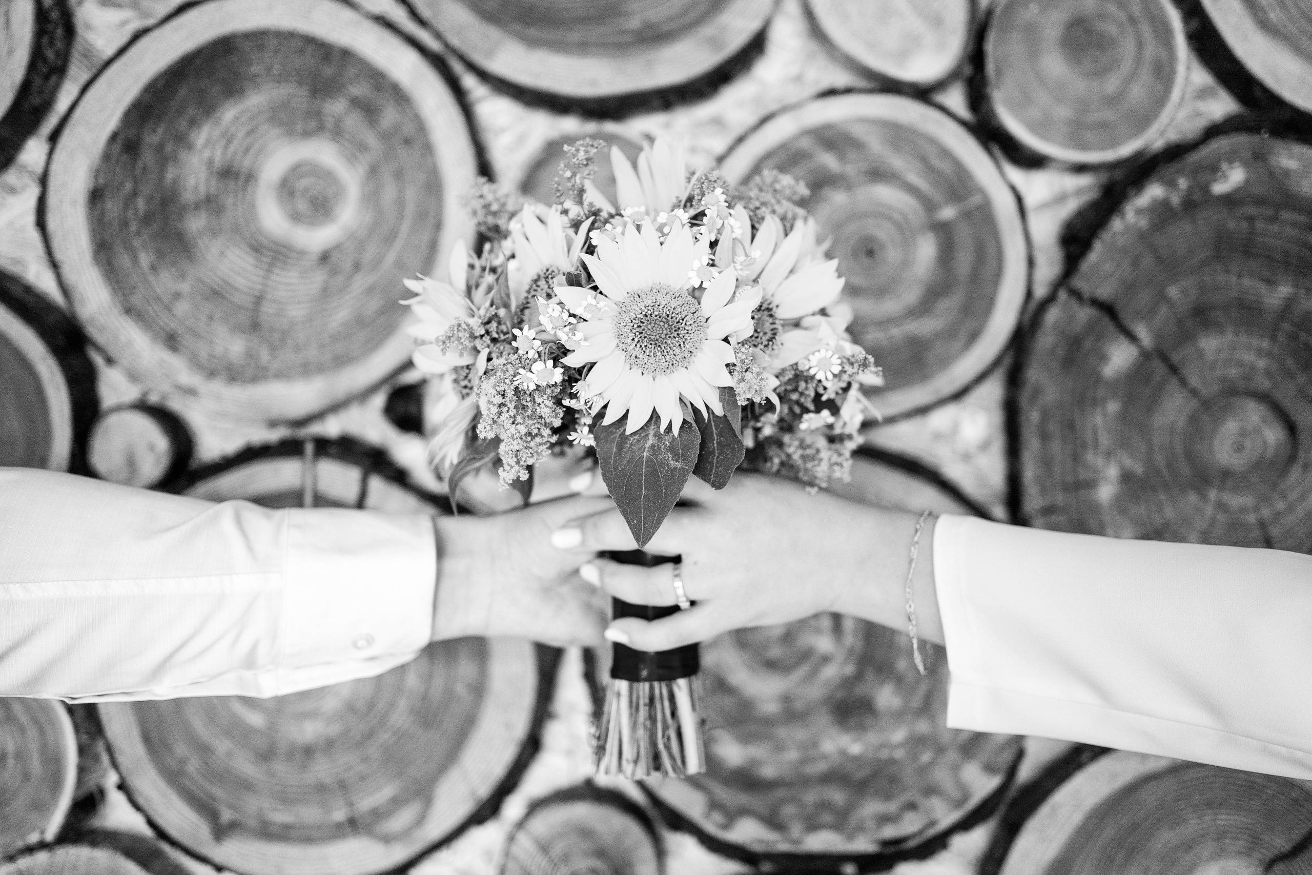 Andreea & Cristian. Fotograf evenimente, fotograf nunta, fotograf botez