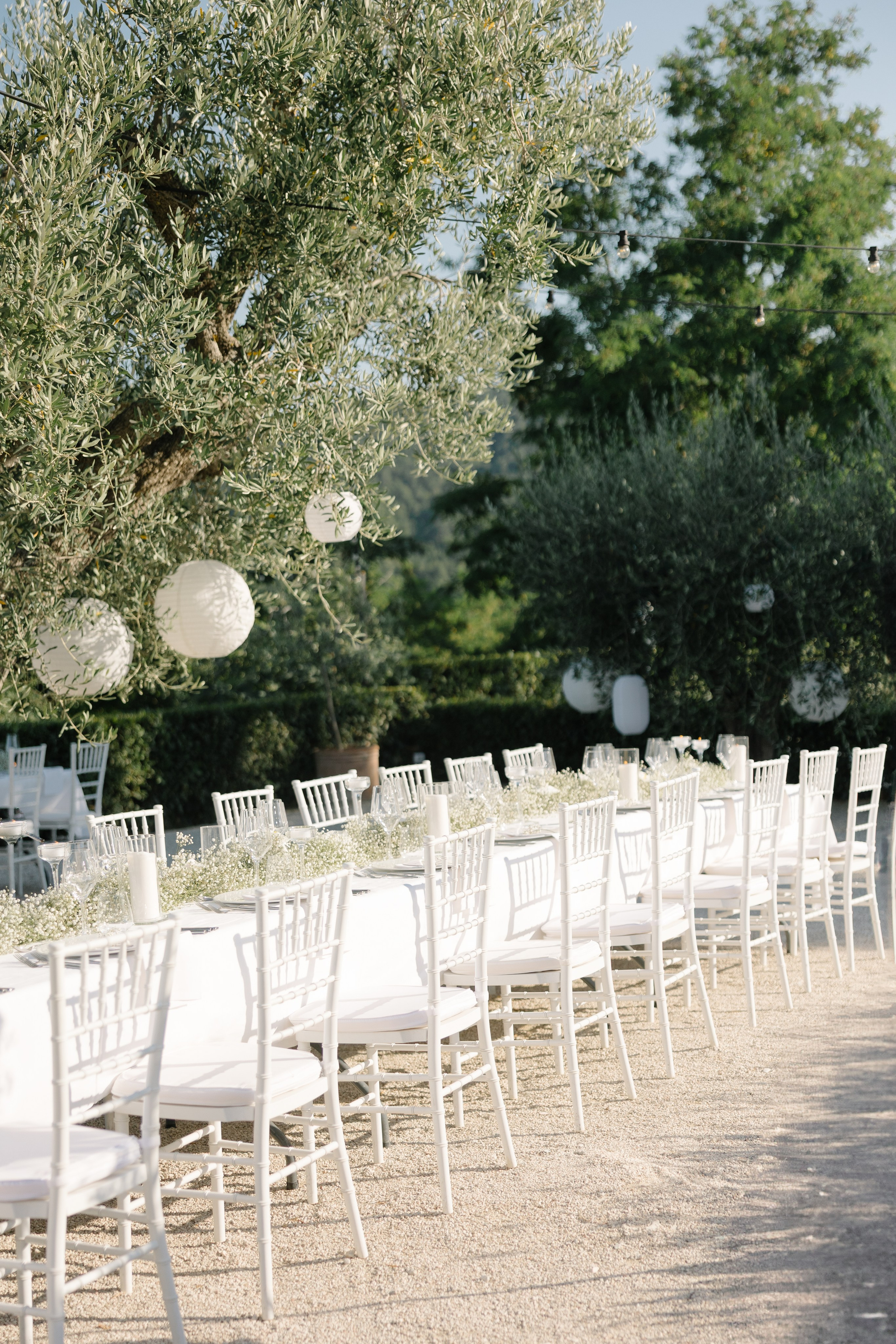 Sofia&Falk. Весільний фотограф Вікторія Саврук