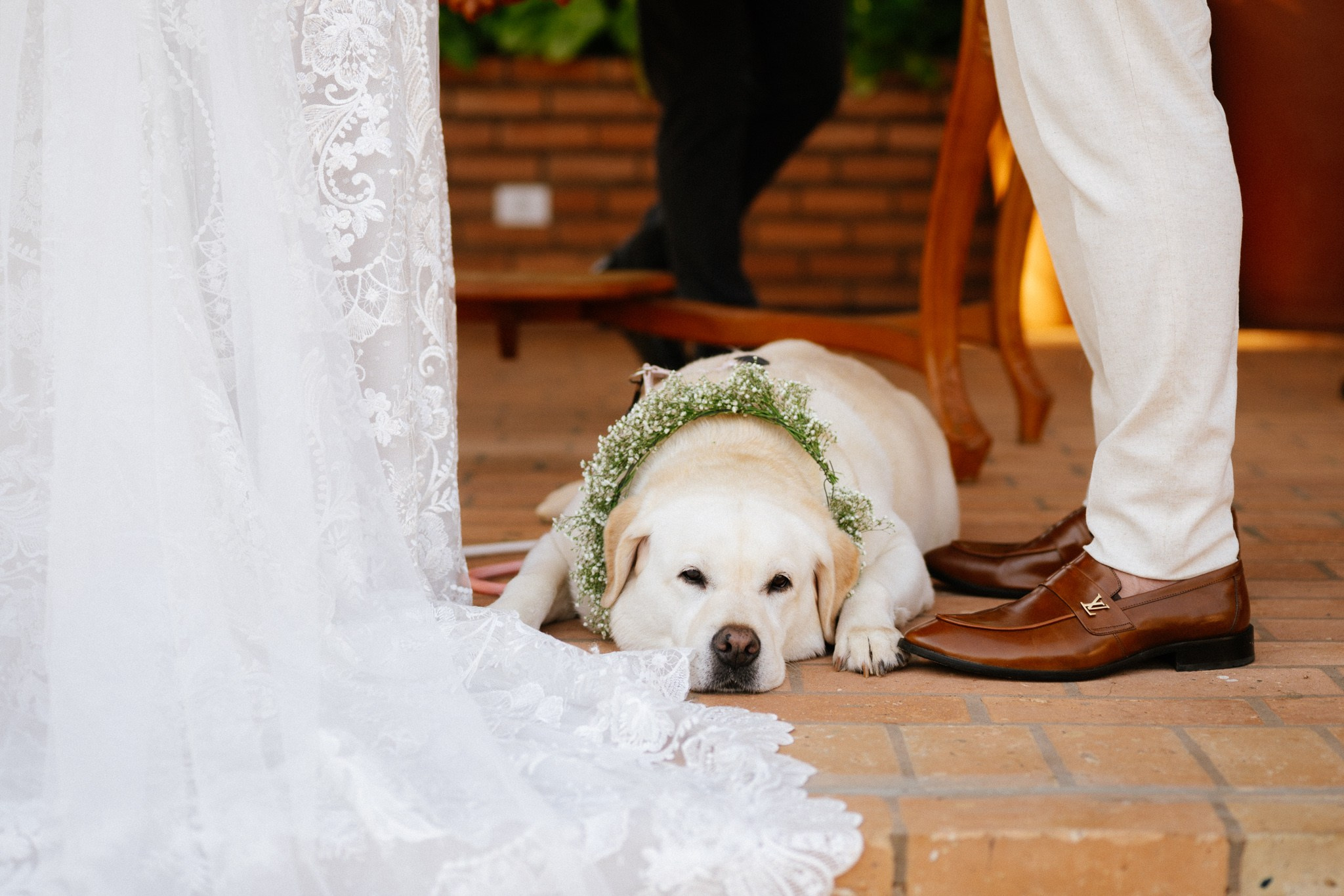 Julia & Alvaro | Fotografia de Casamento no Palmeiras Eventos de Limeira