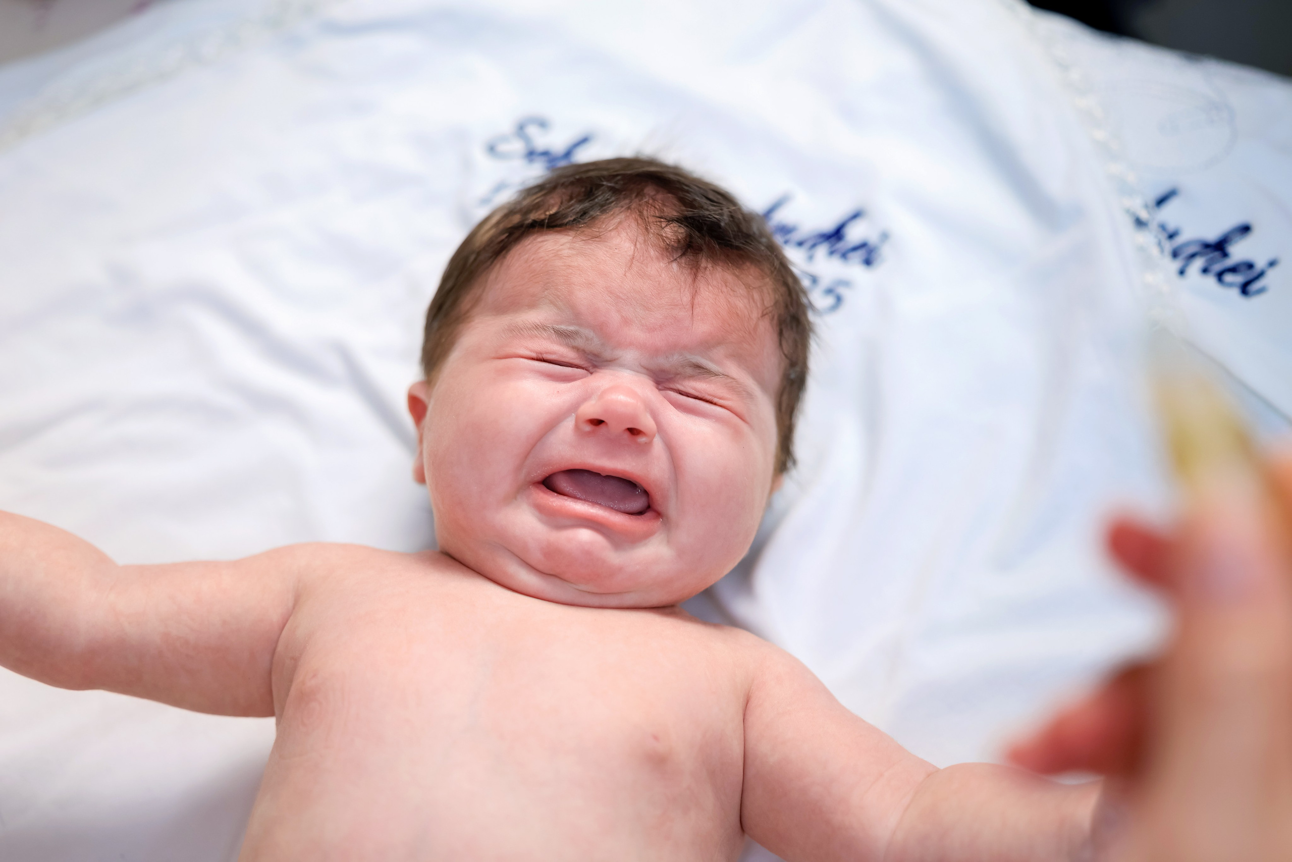 Andrei Sebastian. Moments By Gub