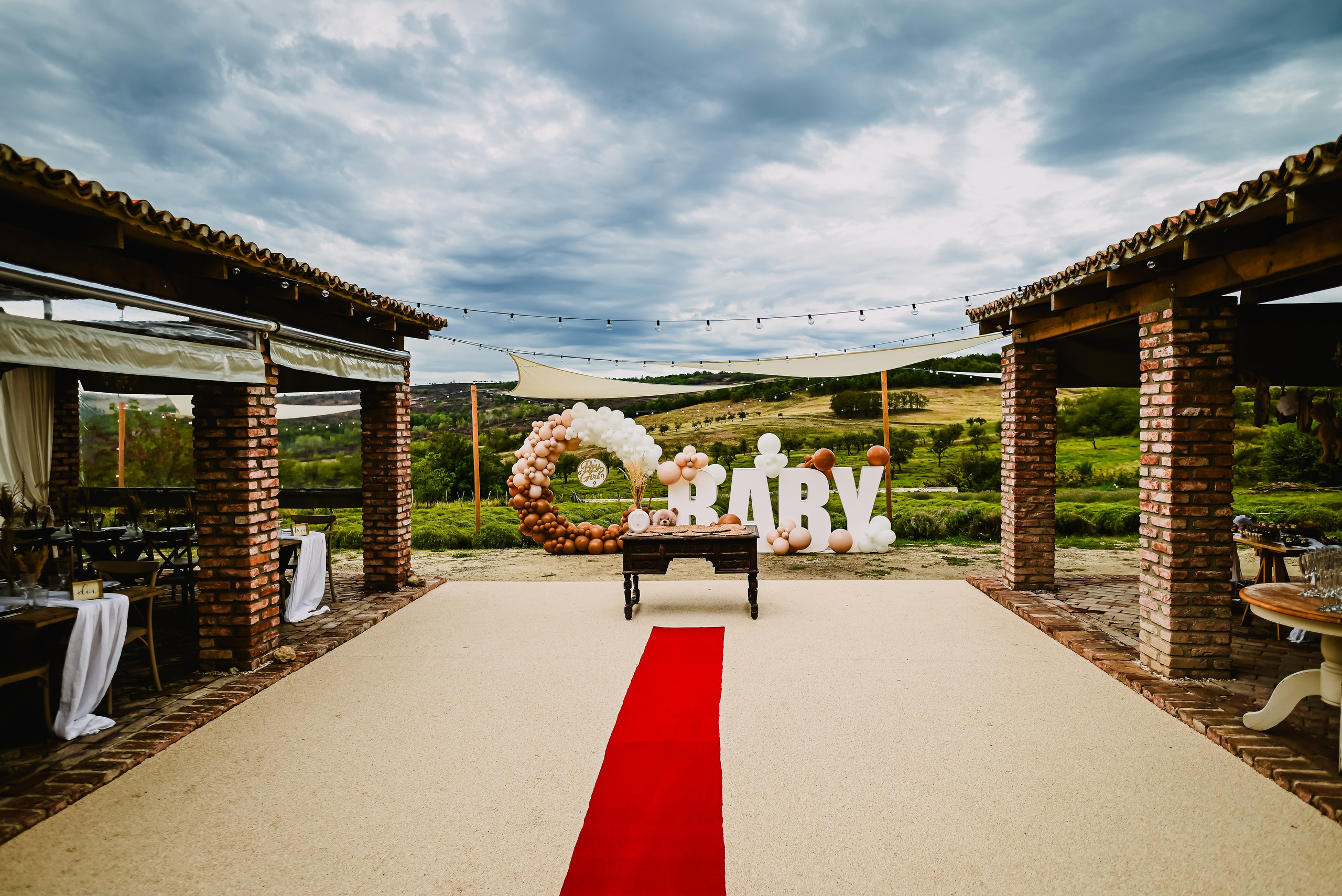 Gender reveal Alina & stefan. Giani Maftei