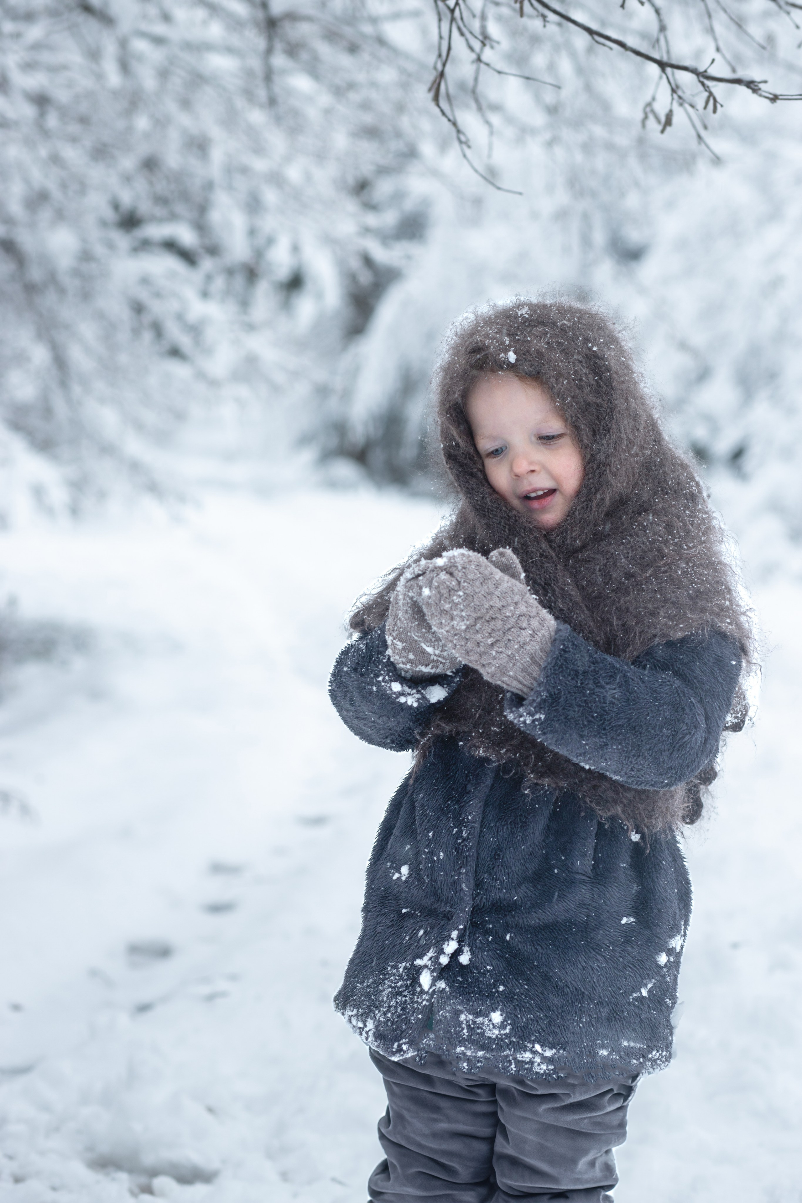 Ein Weihnachtsmärchen. Olena Fritz Fotografie