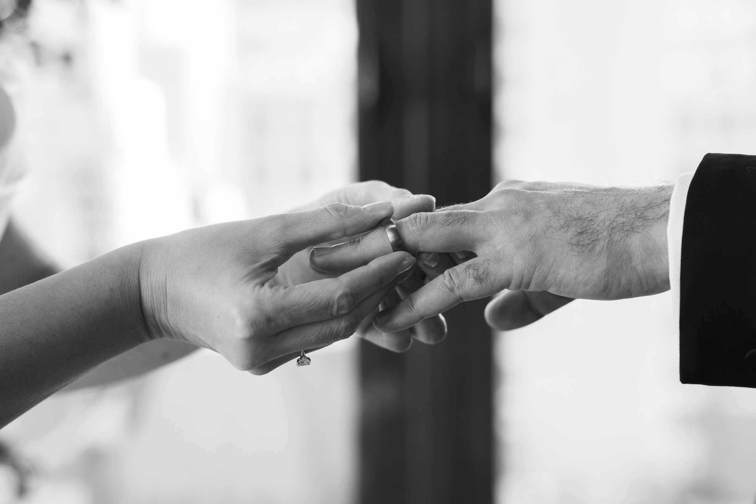 Arleta & Barry, The Skylark, NY. Wedding Photo & Video