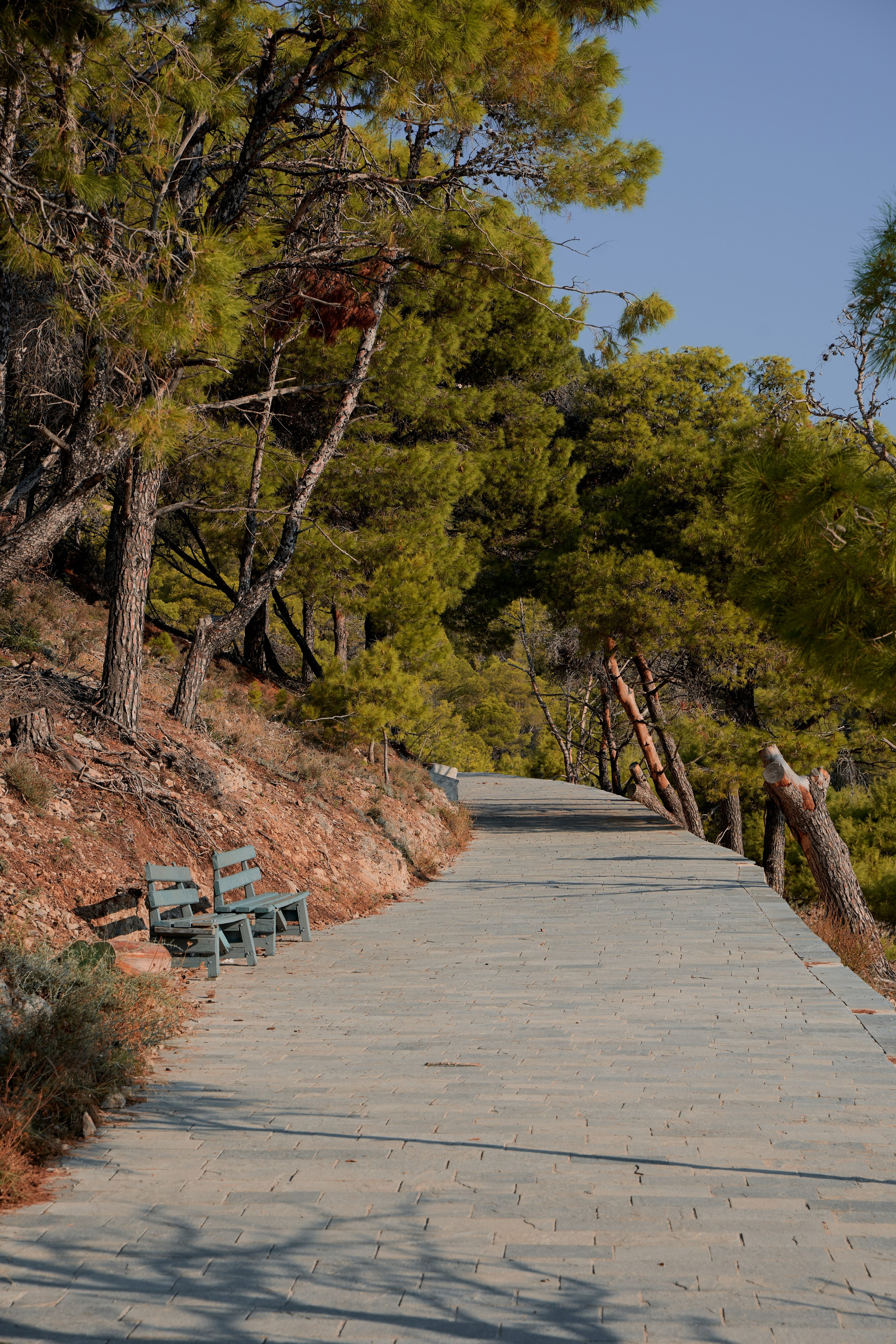 Моими глазами. Salut!